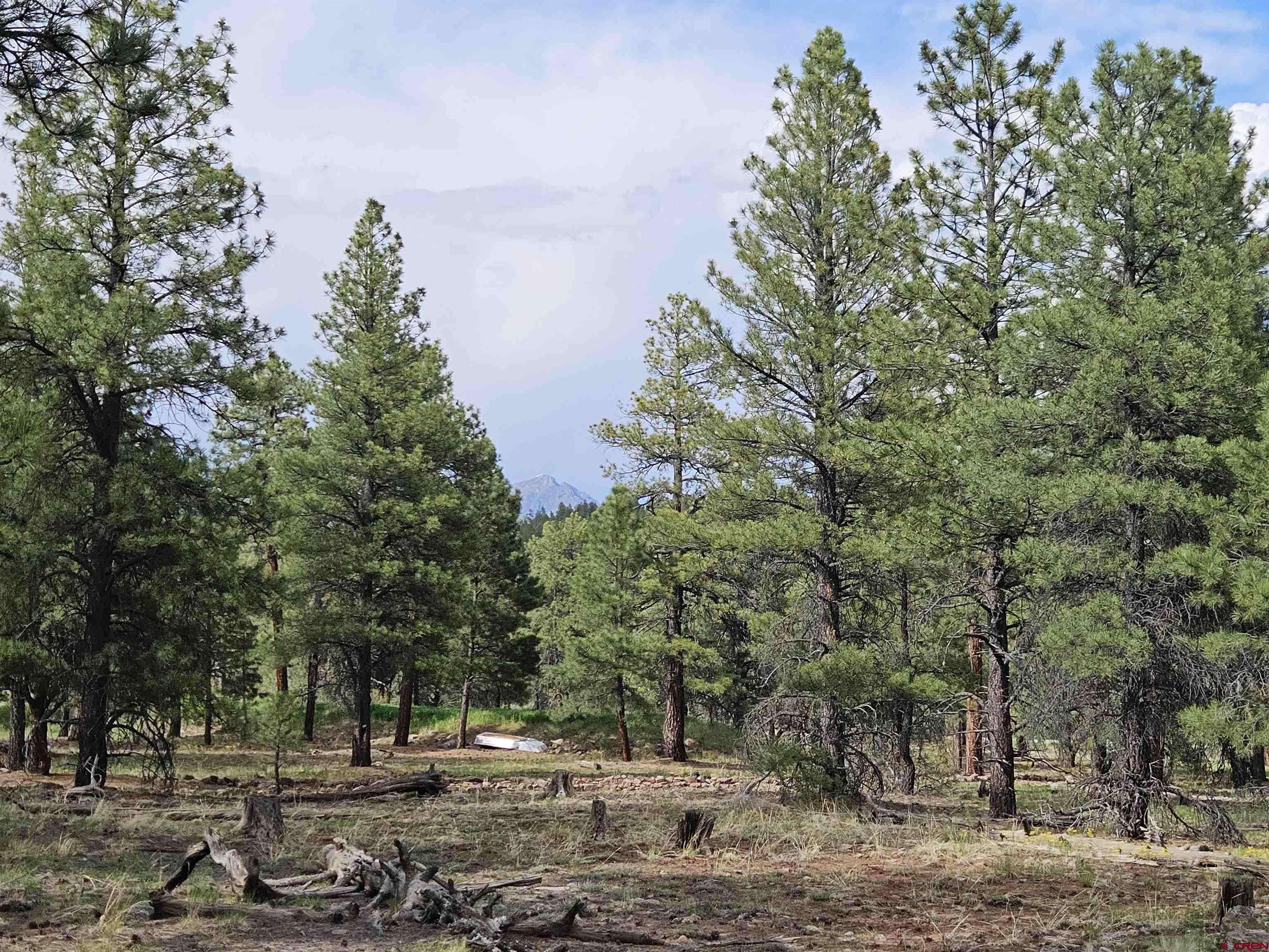 Pagosa Springs, CO 81147,155 Monterosa Court