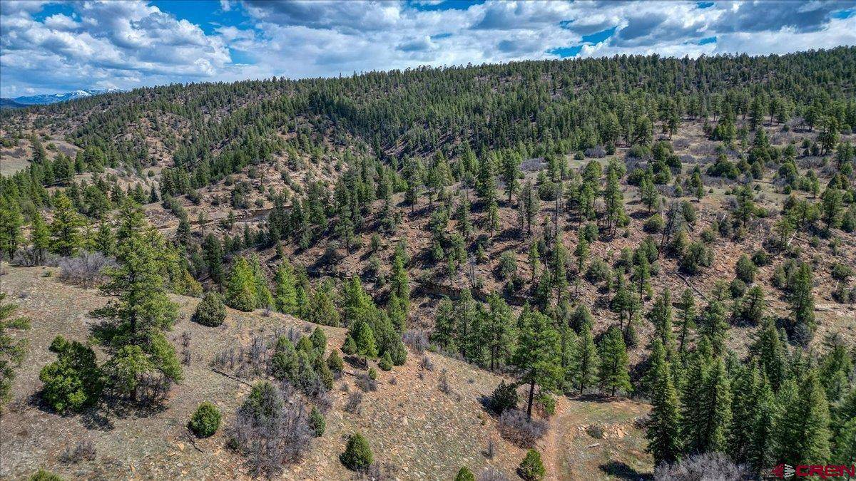 Pagosa Springs, CO 81147,X County Rd 359