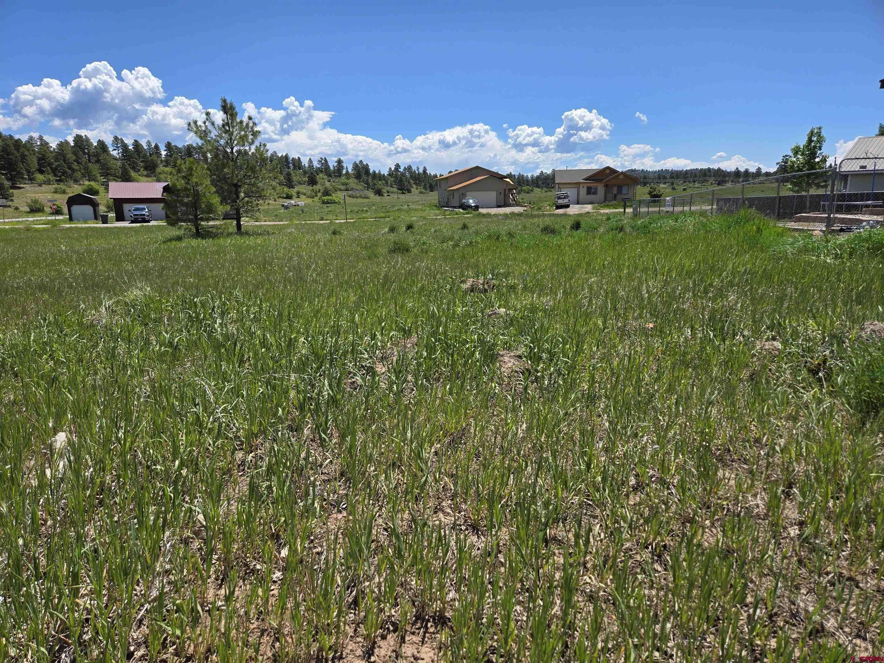 Pagosa Springs, CO 81147,20 Lancer Court