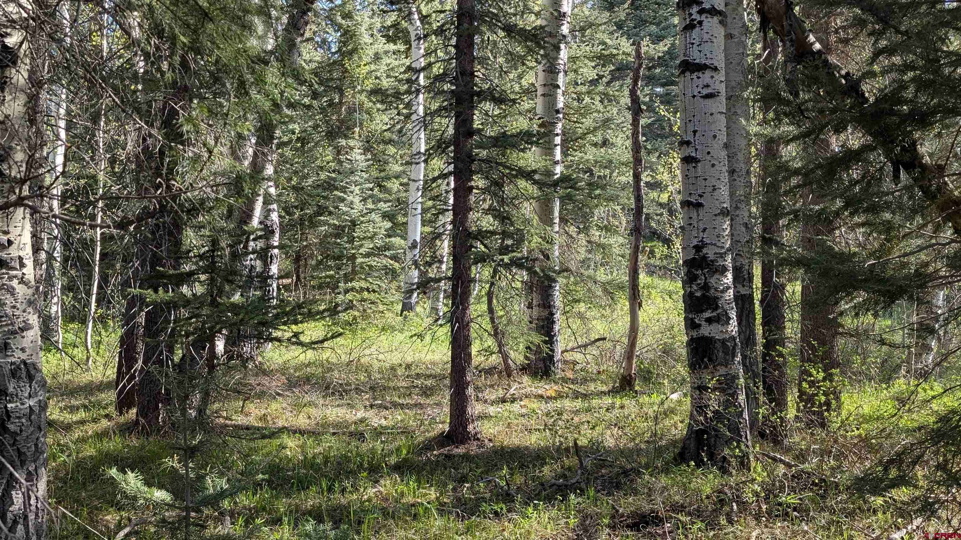 Pagosa Springs, CO 81147,122 Meadowbrook Place