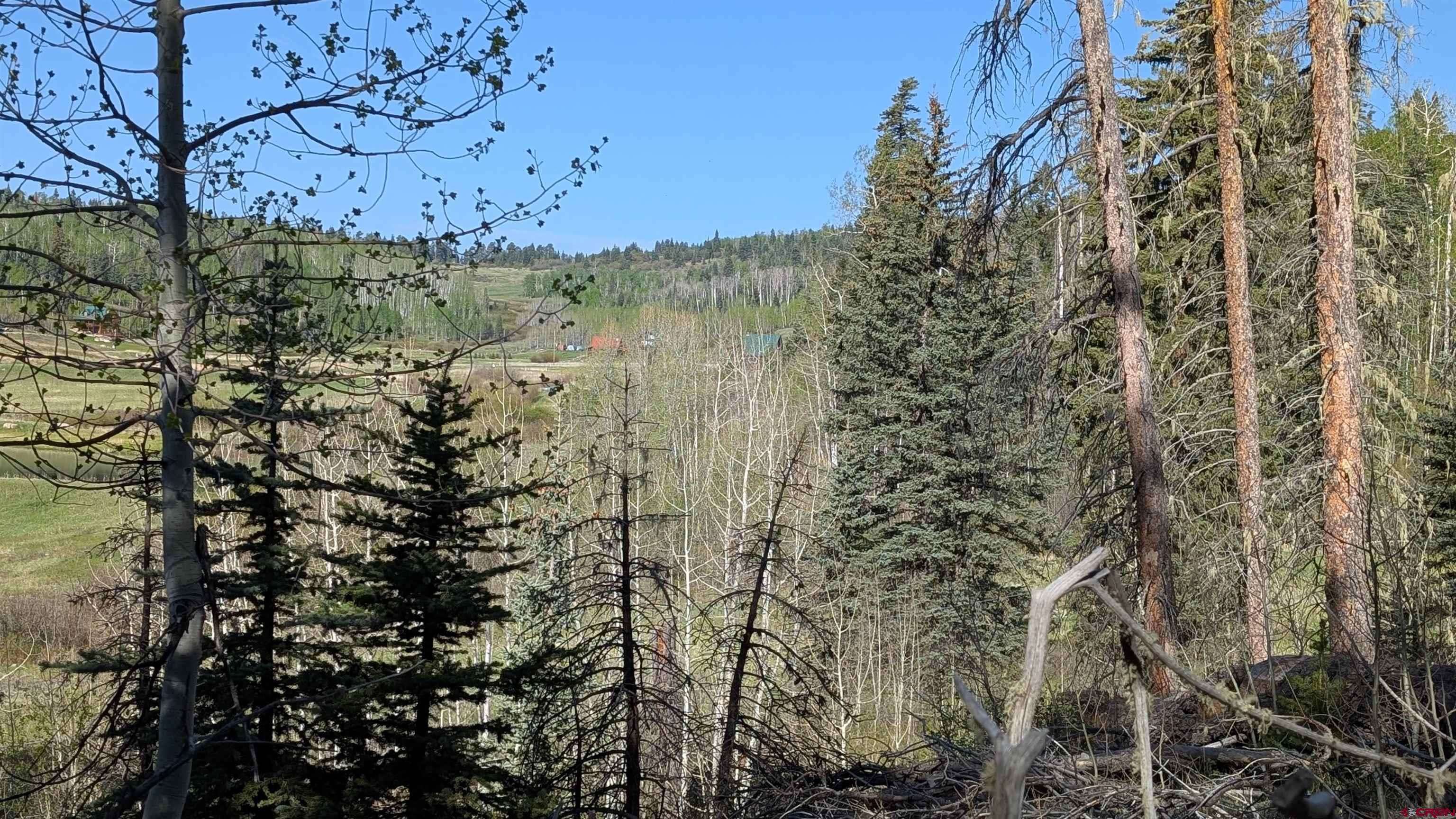 Pagosa Springs, CO 81147,122 Meadowbrook Place
