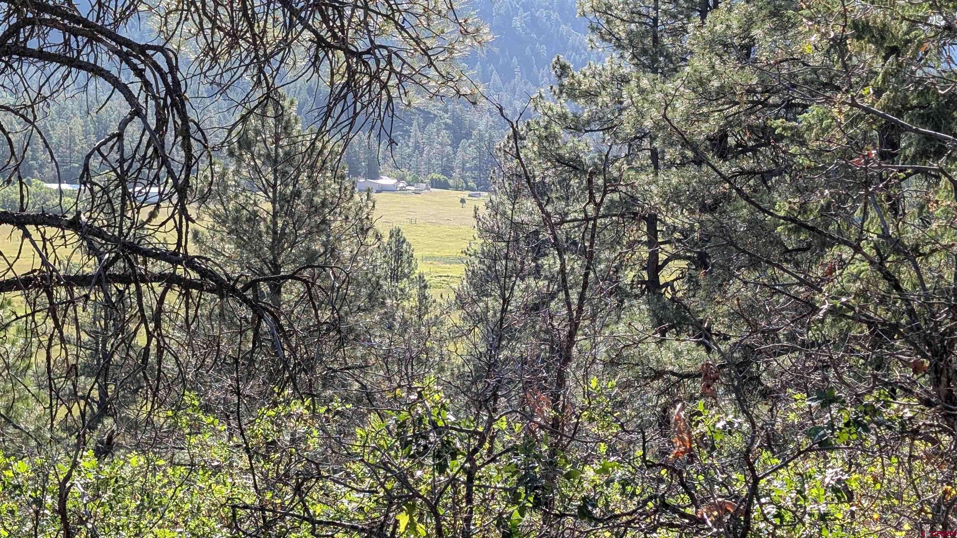 Pagosa Springs, CO 81147,434 Bob's Place