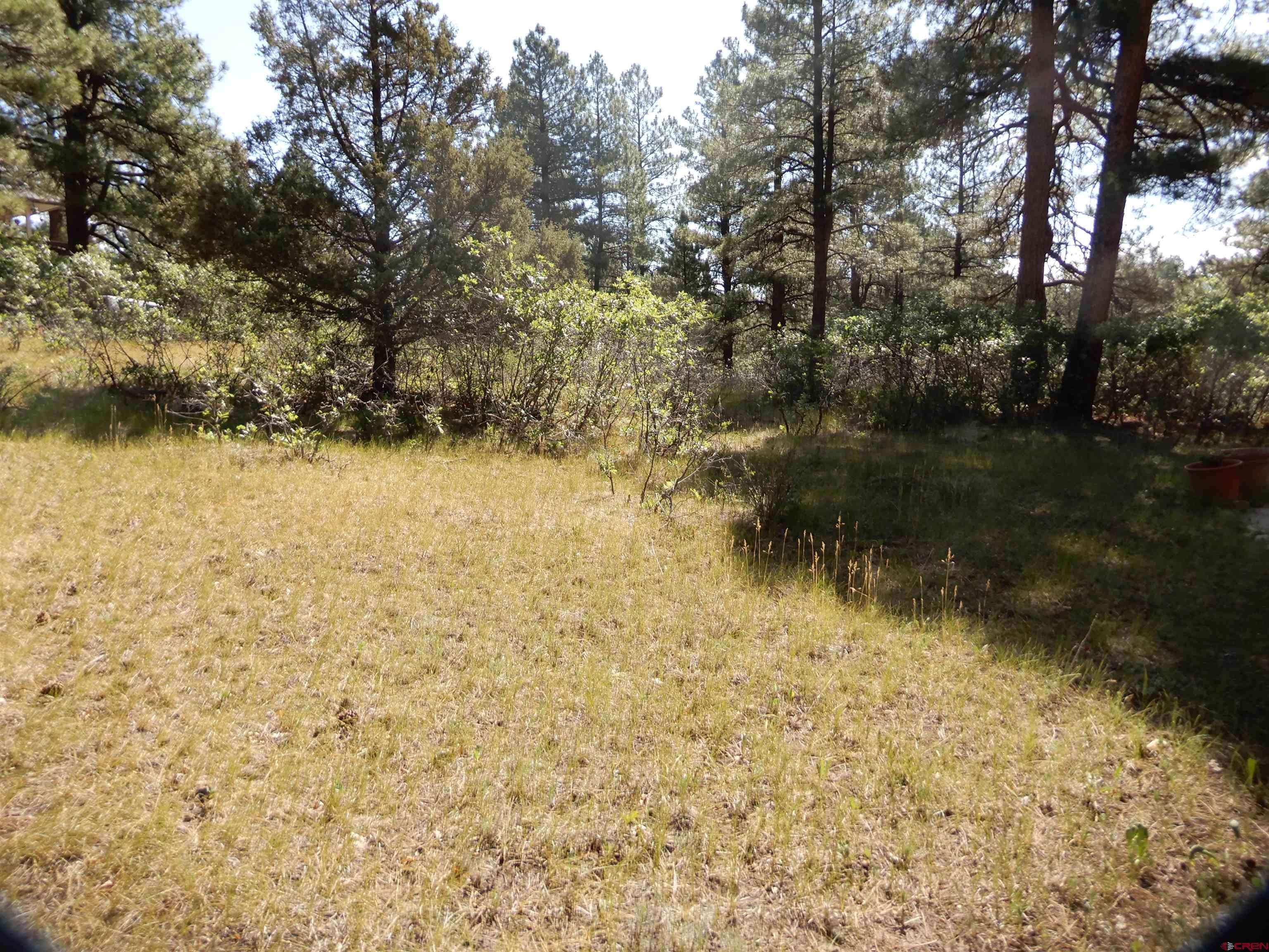 Pagosa Springs, CO 81147,73 Twincreek Circle