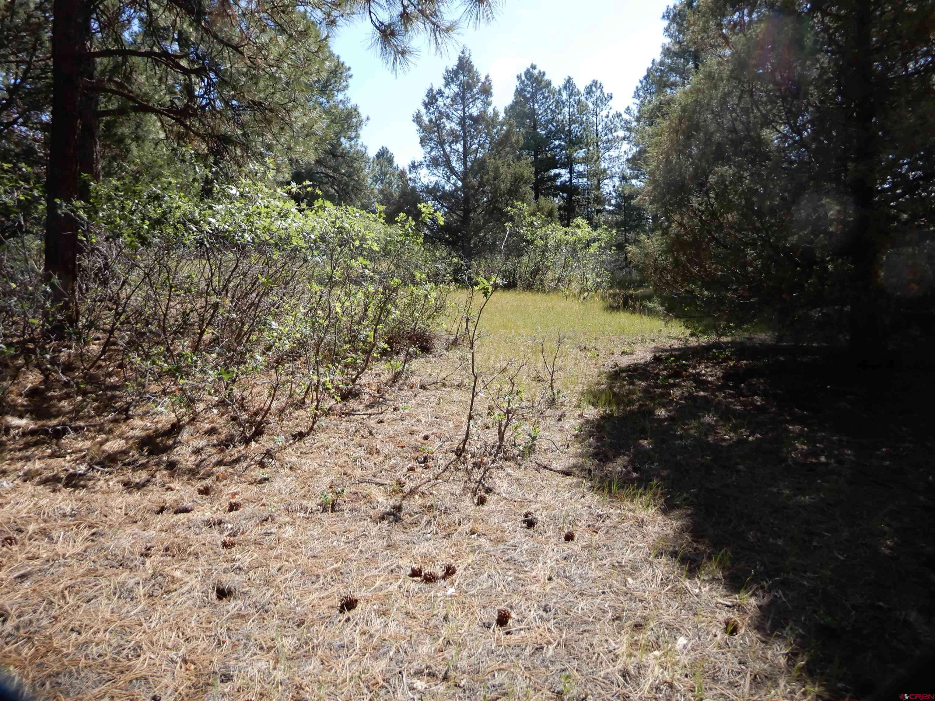 Pagosa Springs, CO 81147,73 Twincreek Circle