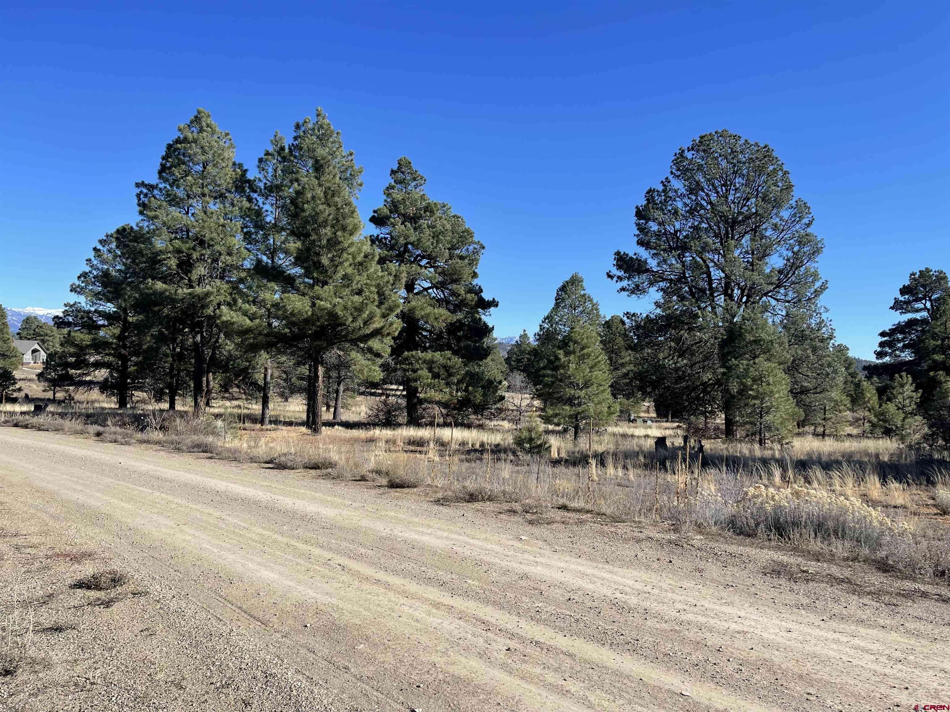 Pagosa Springs, CO 81147,157 Mansions Circle