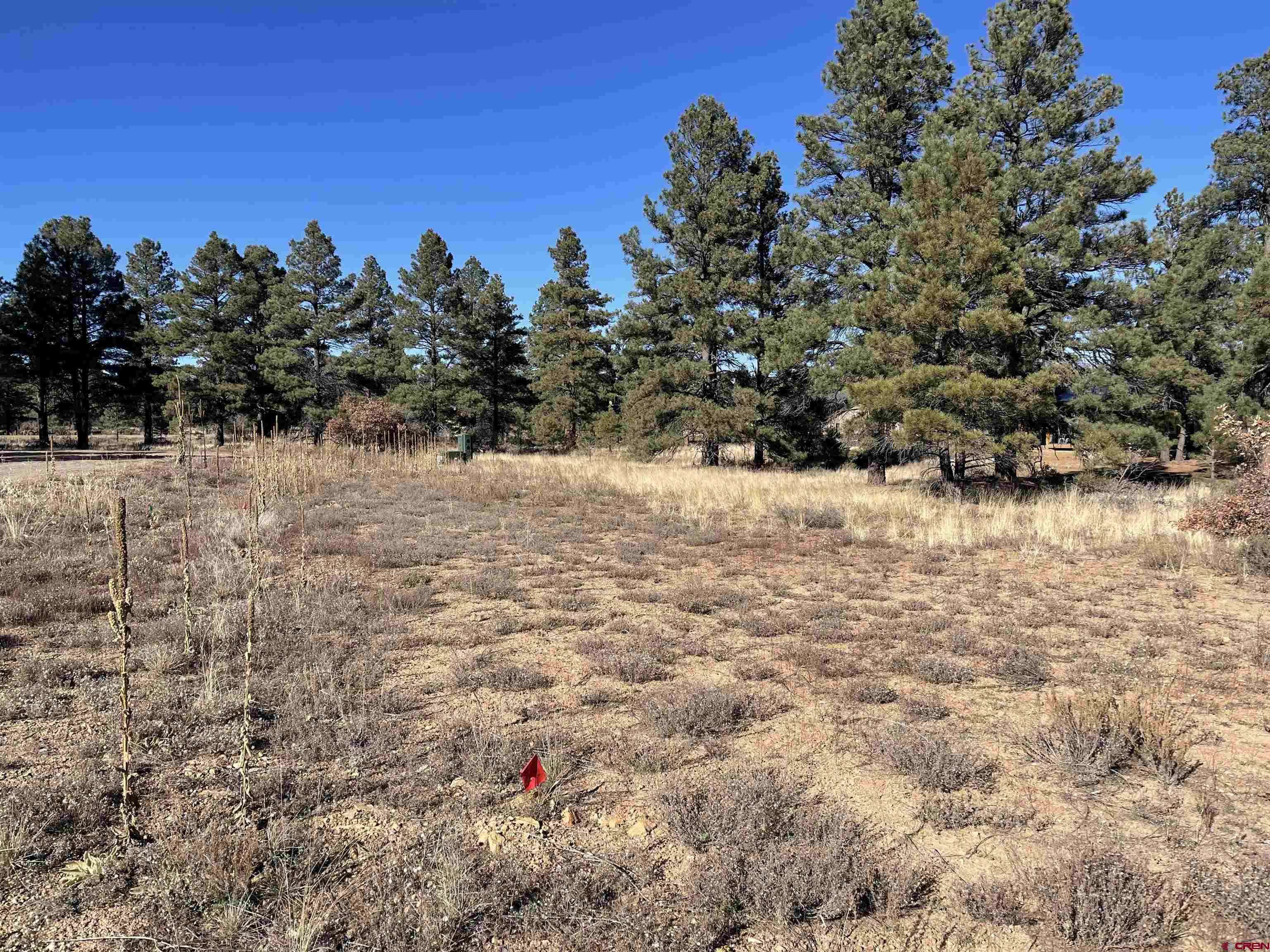 Pagosa Springs, CO 81147,157 Mansions Circle