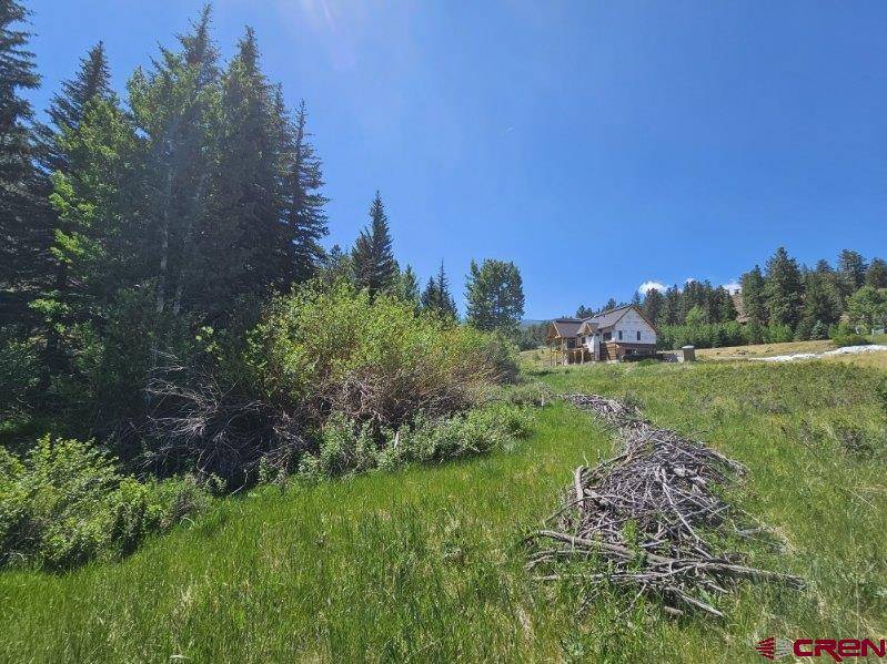 South Fork, CO 81154,356 Church Creek Drive