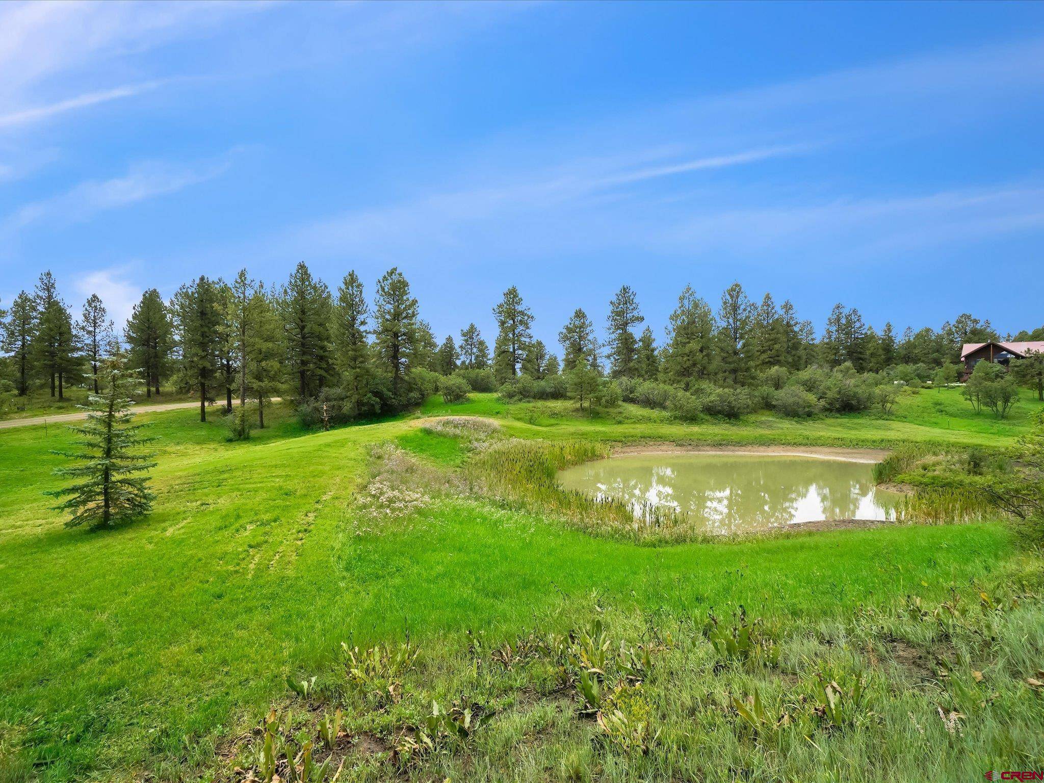 Pagosa Springs, CO 81147,X E Morning Glory Drive