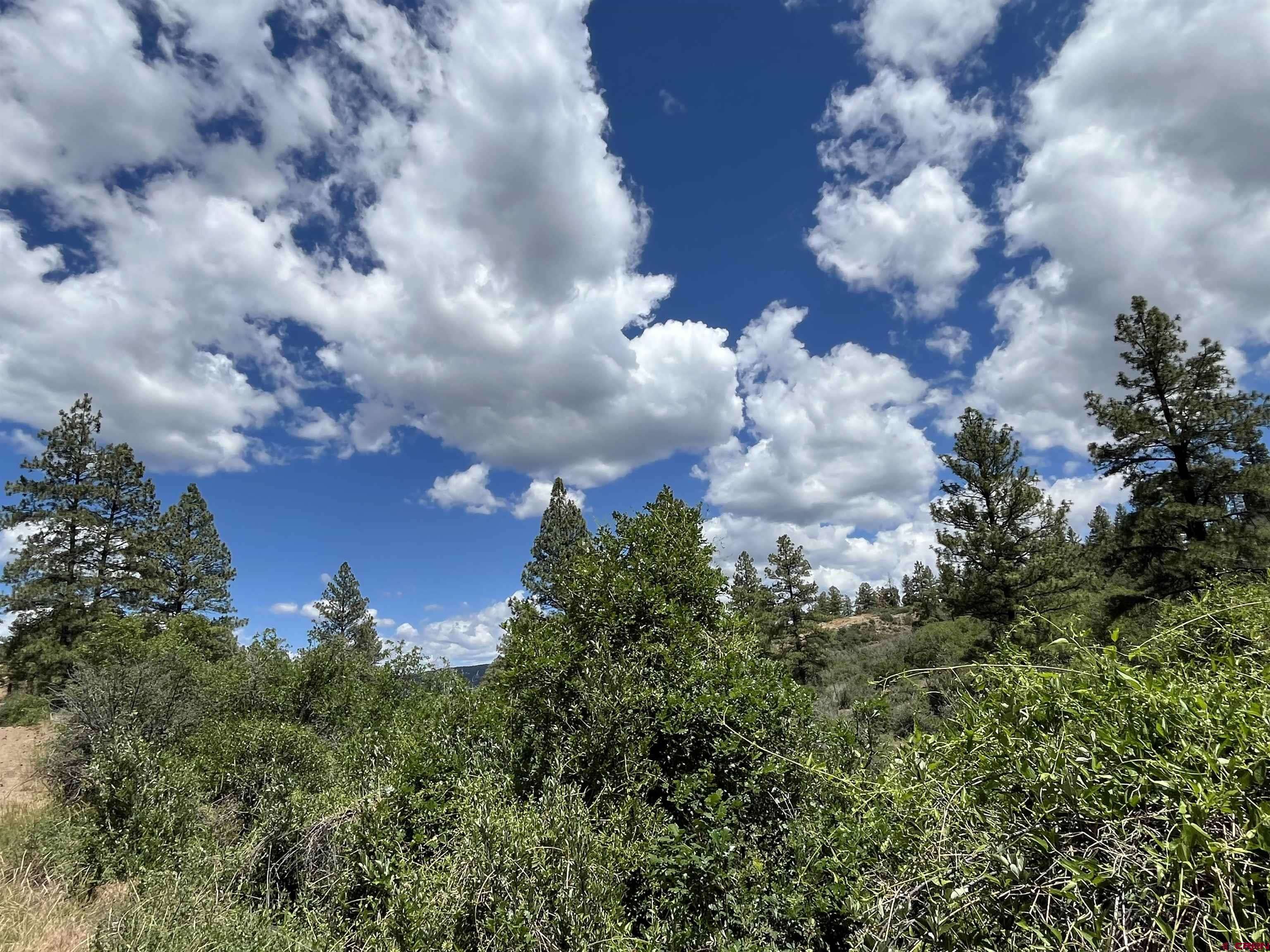 Pagosa Springs, CO 81147,433 Echo Lane