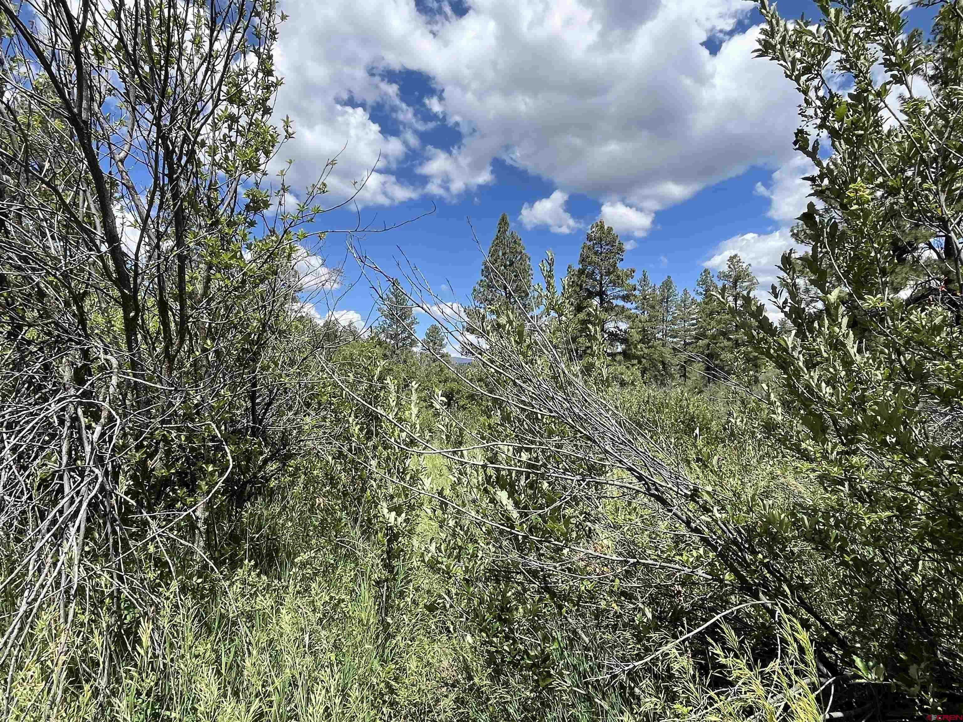 Pagosa Springs, CO 81147,433 Echo Lane