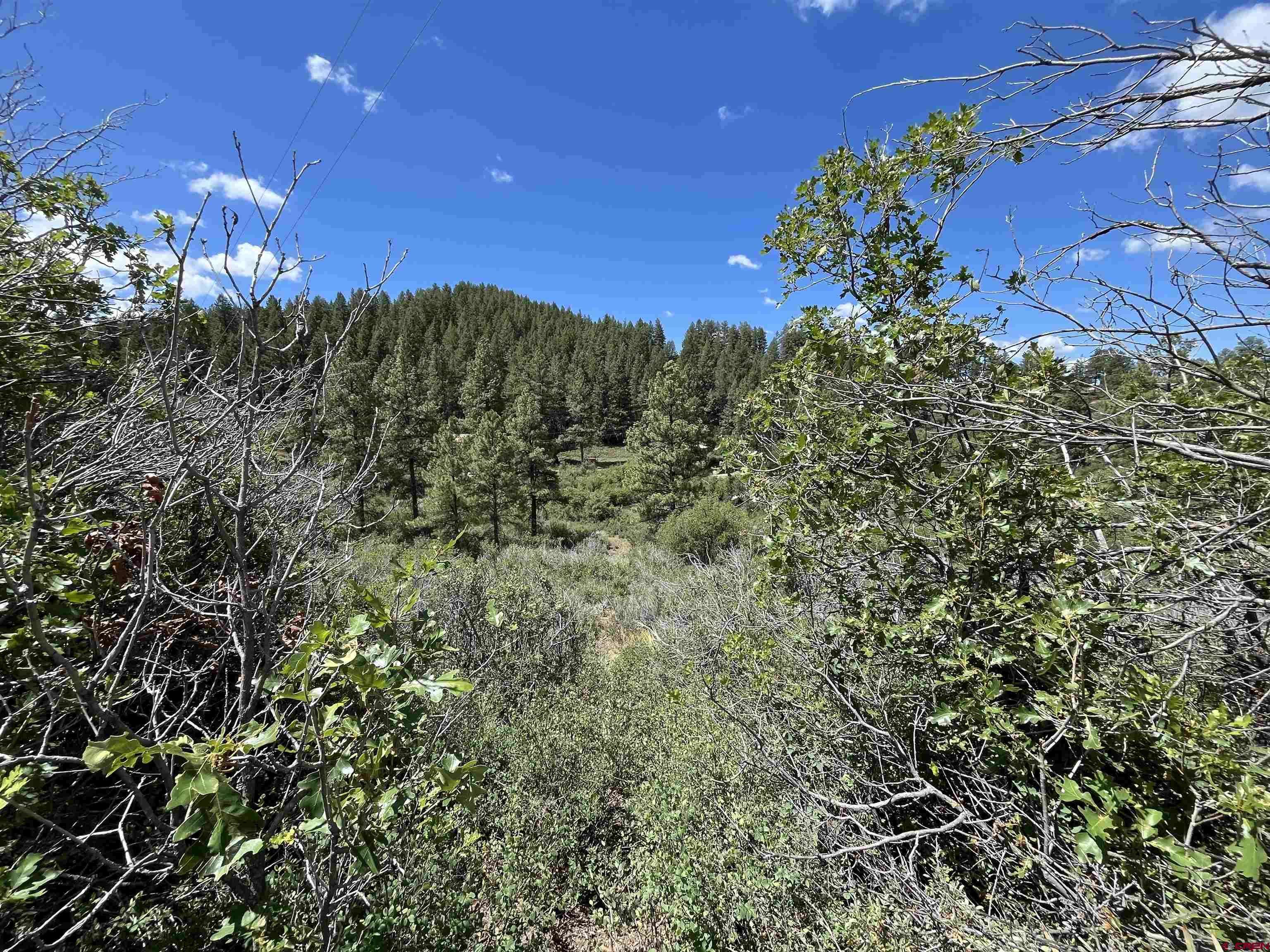 Pagosa Springs, CO 81147,278 Pineridge Trail