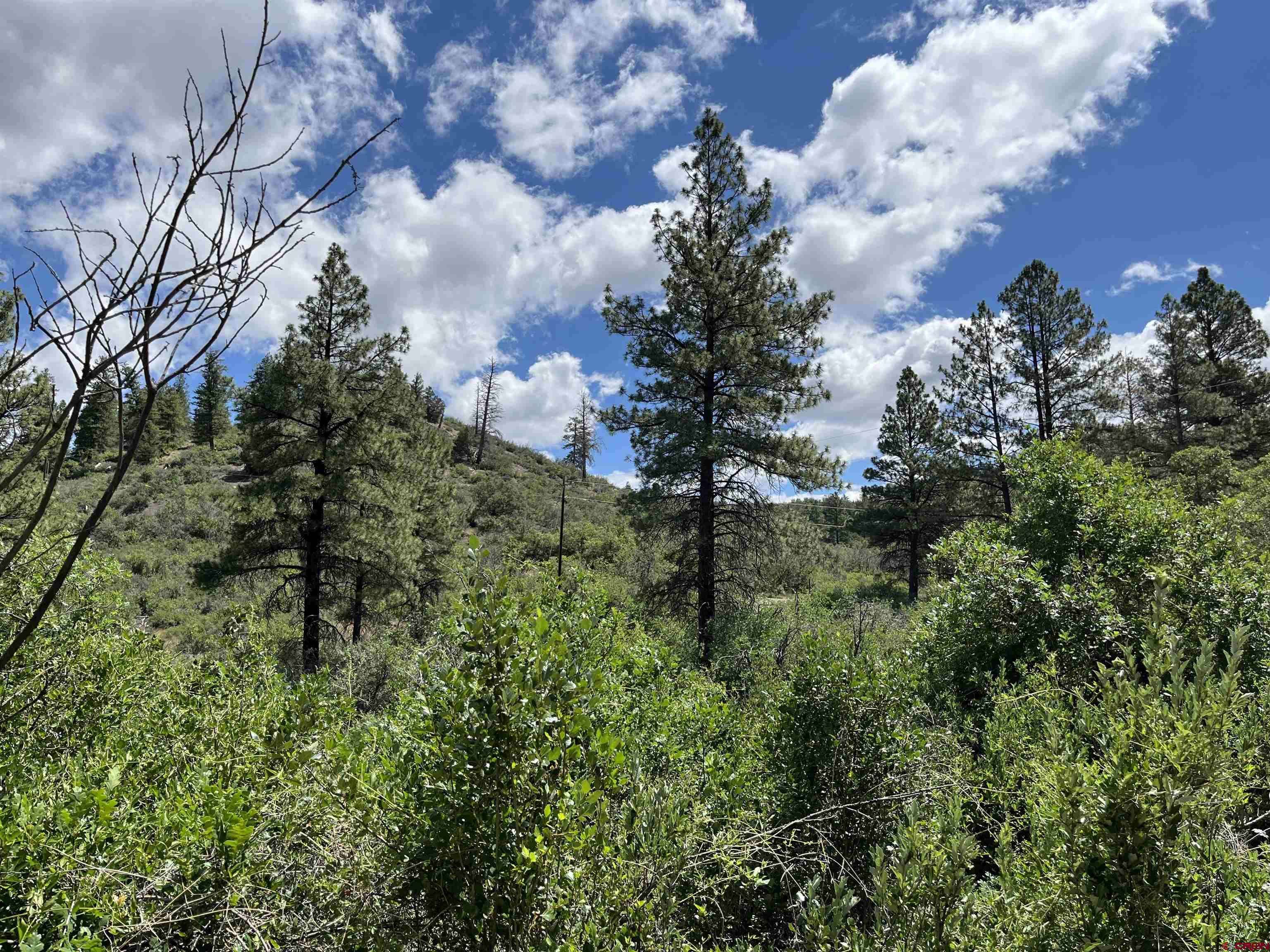 Pagosa Springs, CO 81147,278 Pineridge Trail