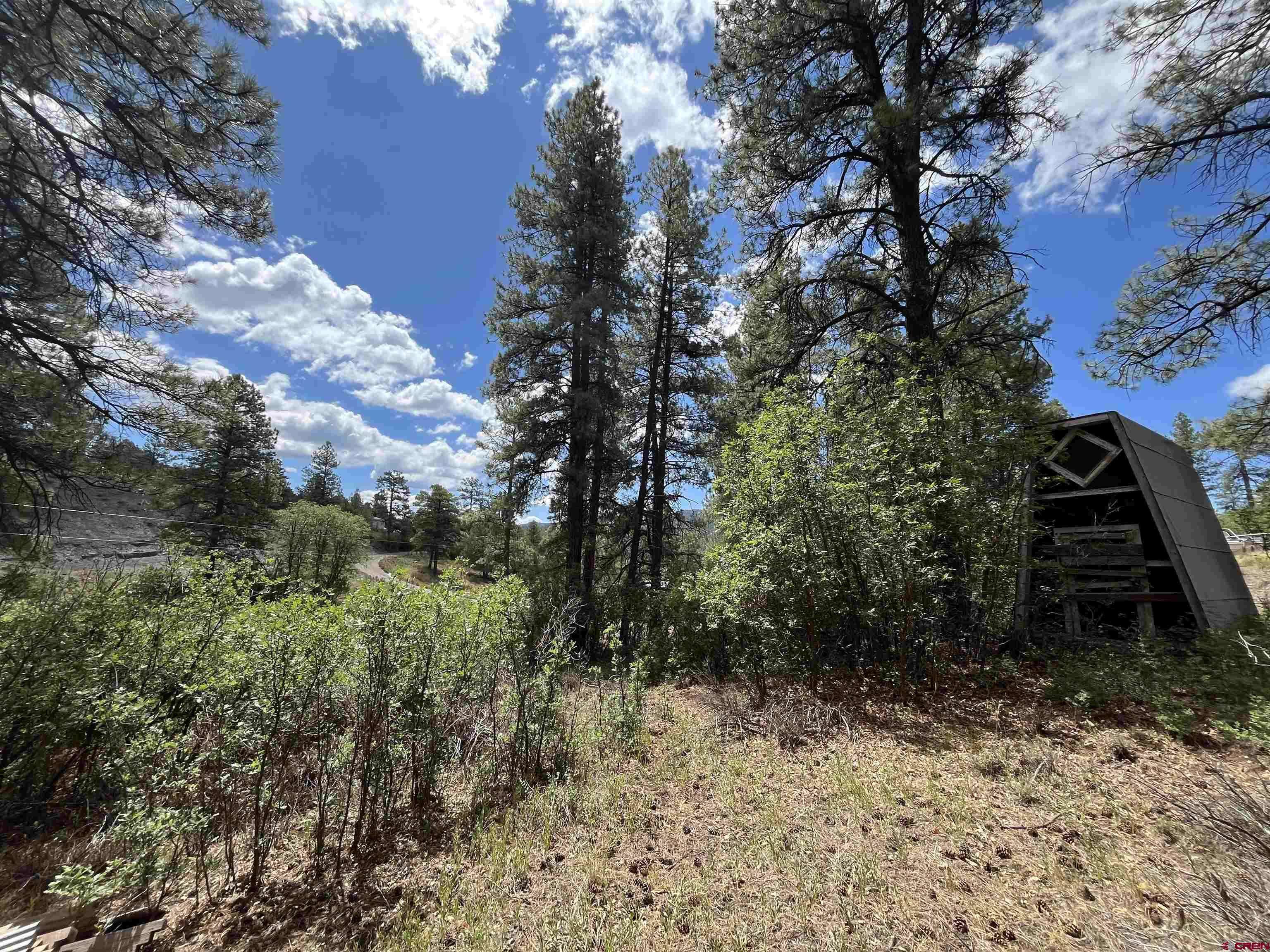 Pagosa Springs, CO 81147,320 Deer Trail