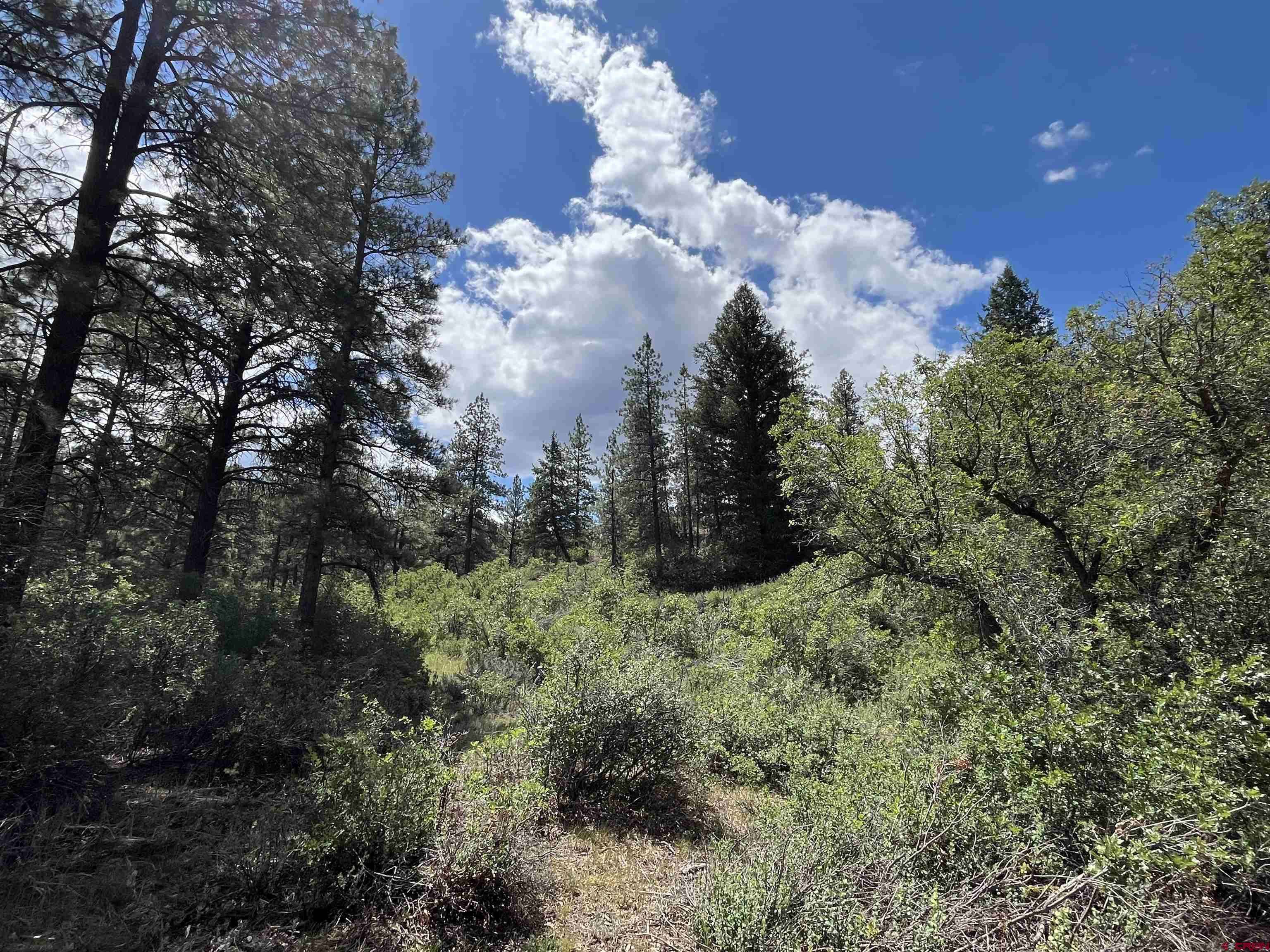 Pagosa Springs, CO 81147,501 Echo Lane
