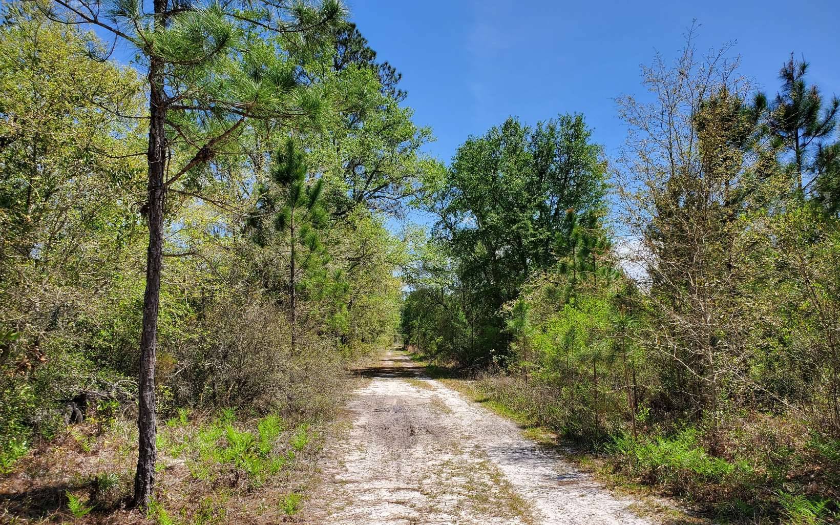 Lee, FL 32059,GUM RD LOT 7