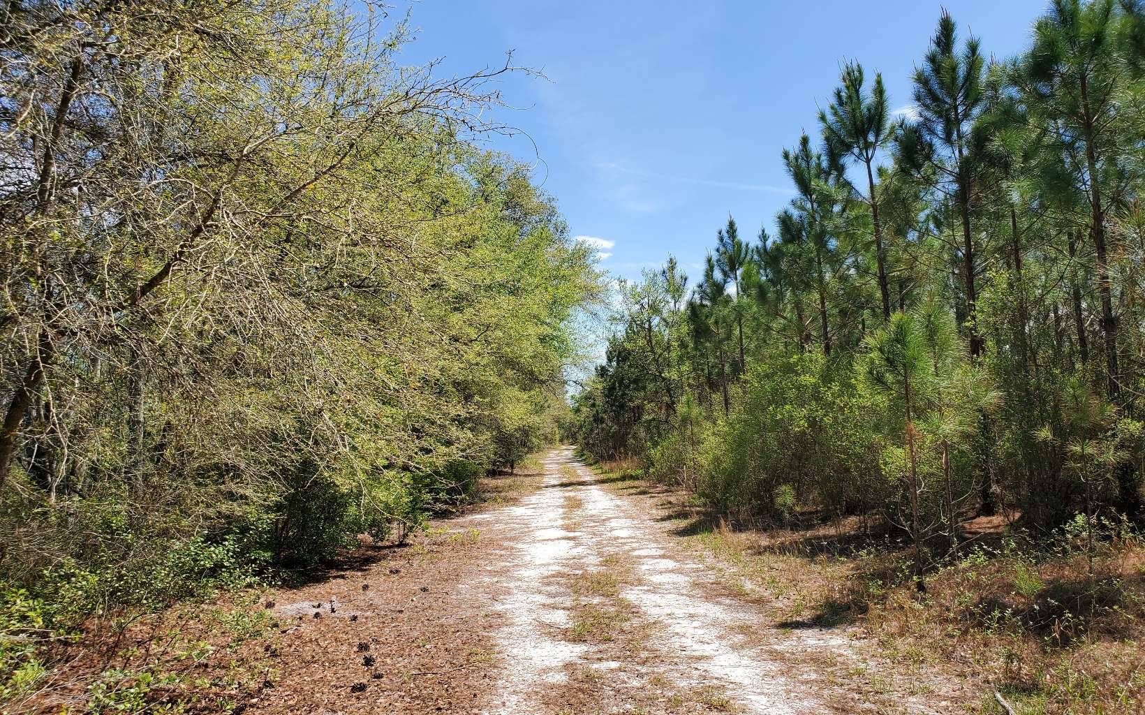 Lee, FL 32059,GUM RD LOT 7