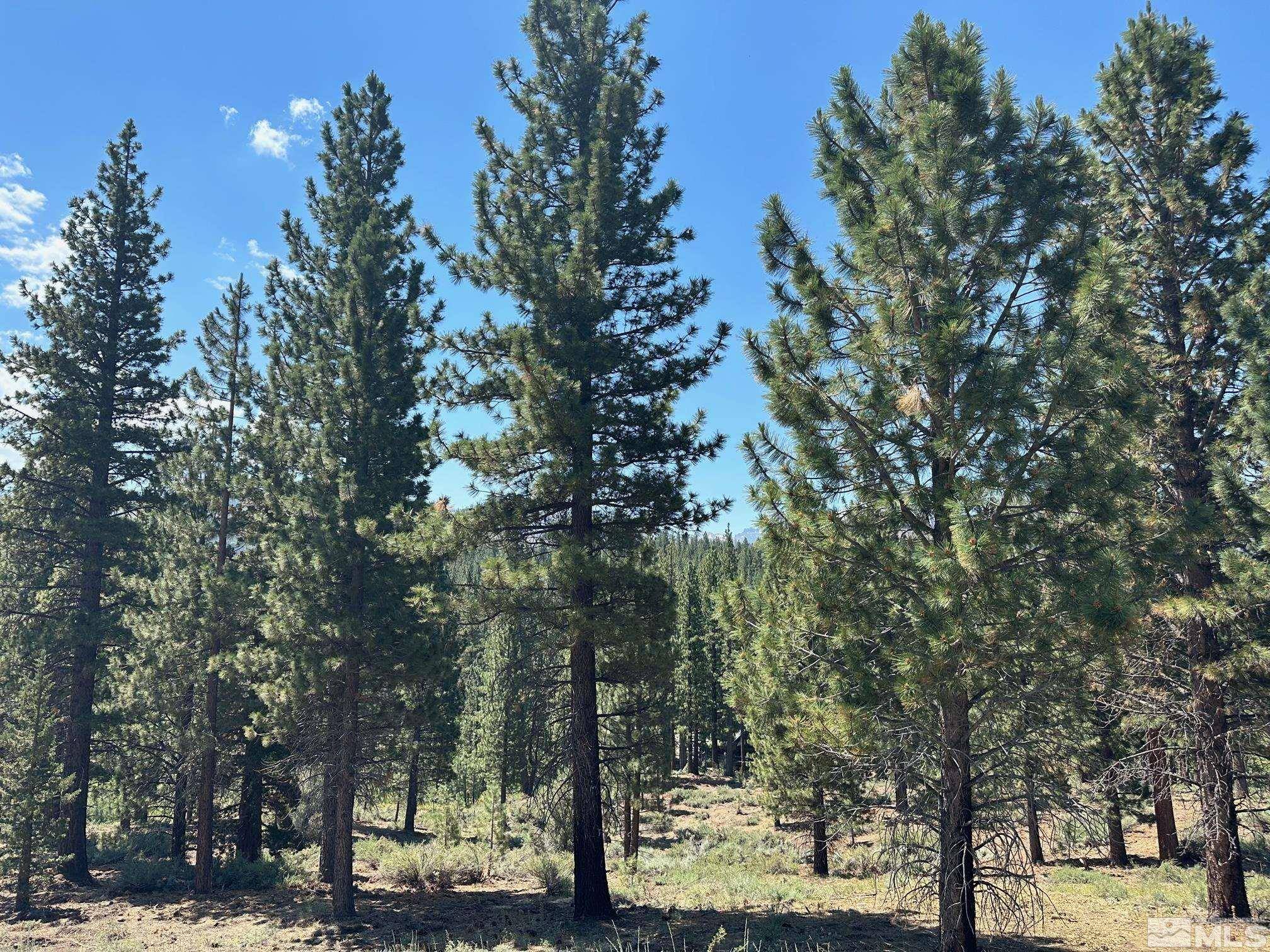 Markleeville, CA 96120,Lot 2 Raymond View #2