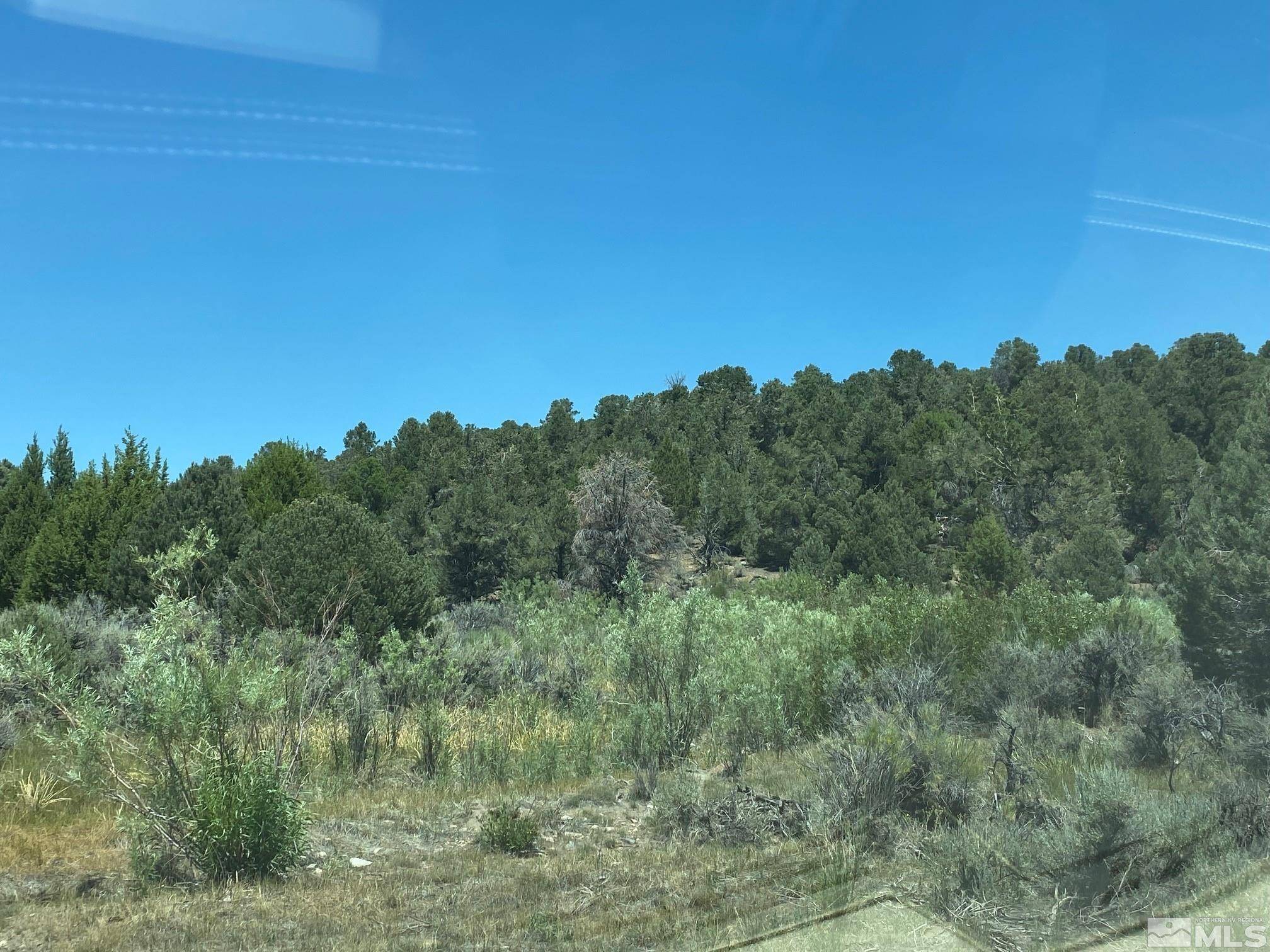 Minden, NV 89423,tbd P14  (77)