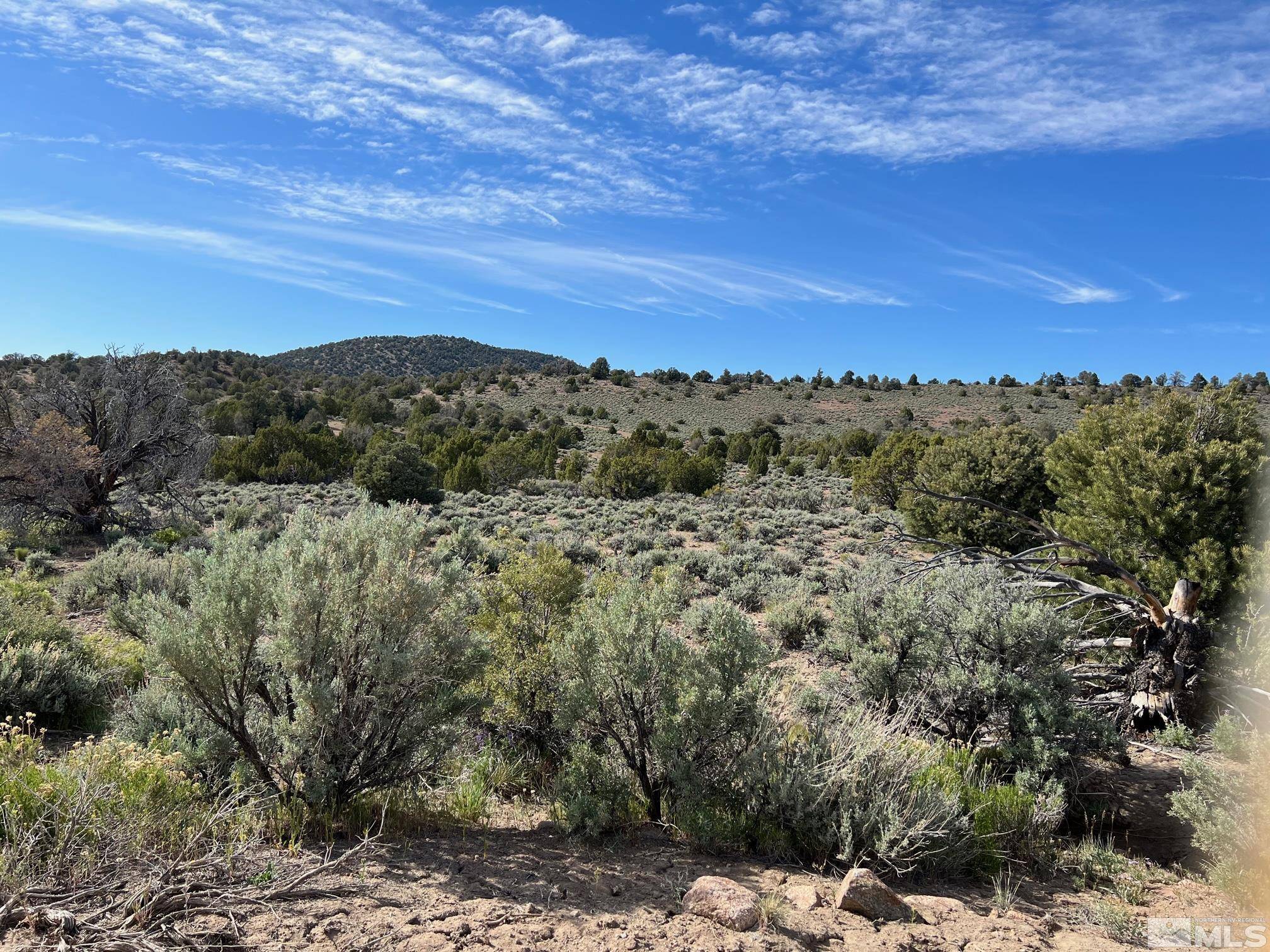 Gardnerville, NV 89410,TBD P 16 Pine Nut Mountains (68)