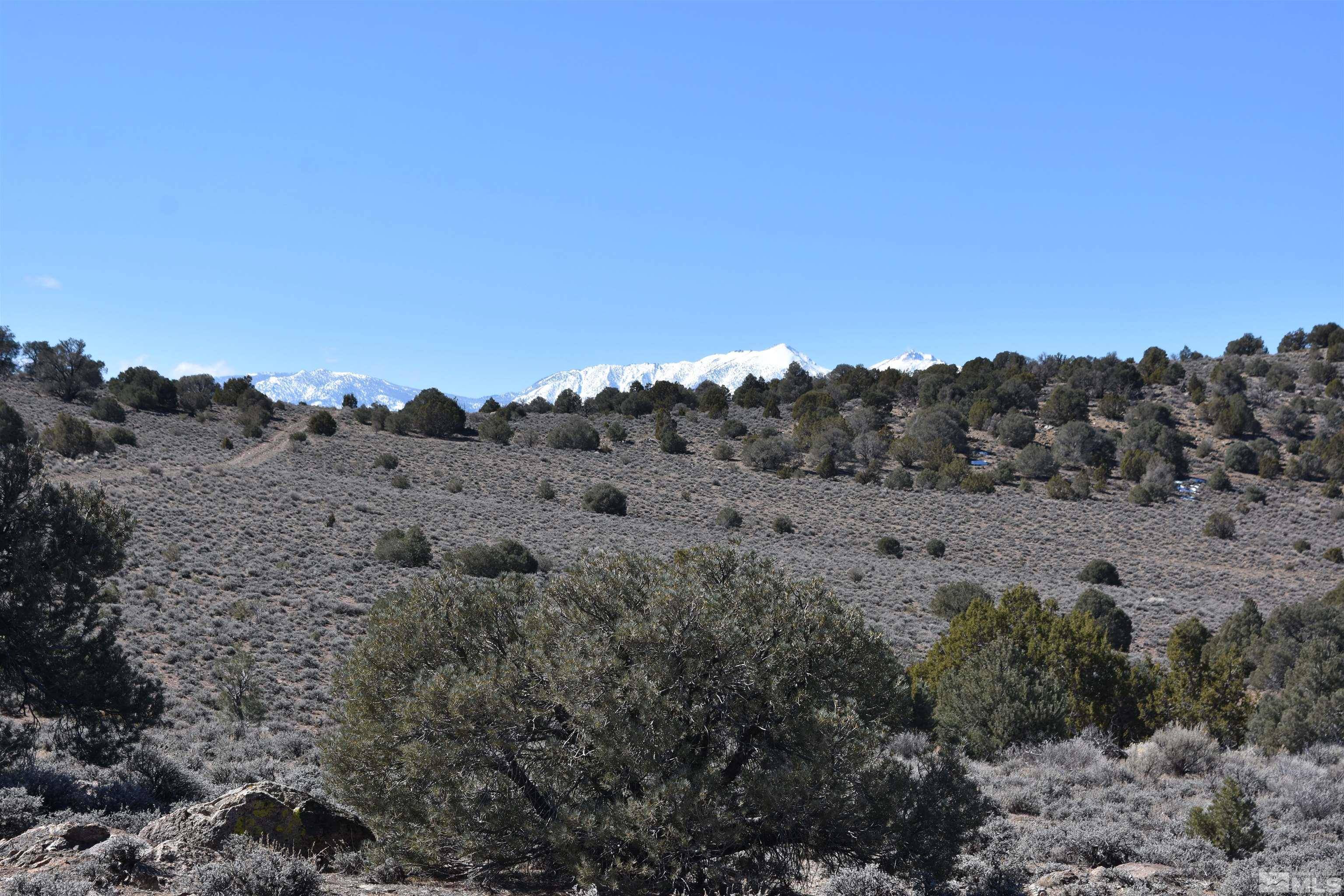 Gardnerville, NV 89410,TBD Pine Nut Mountains (58) #58