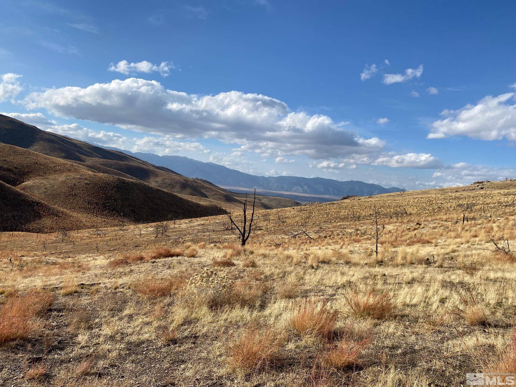 Gardnerville, NV 89410,TBD South of Pine Nut RD (10)