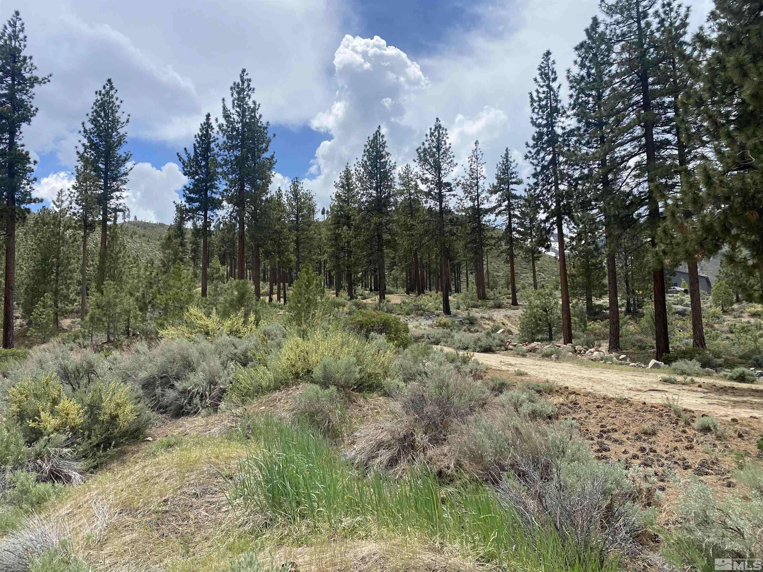 Washoe Valley, NV 89704,Franktown