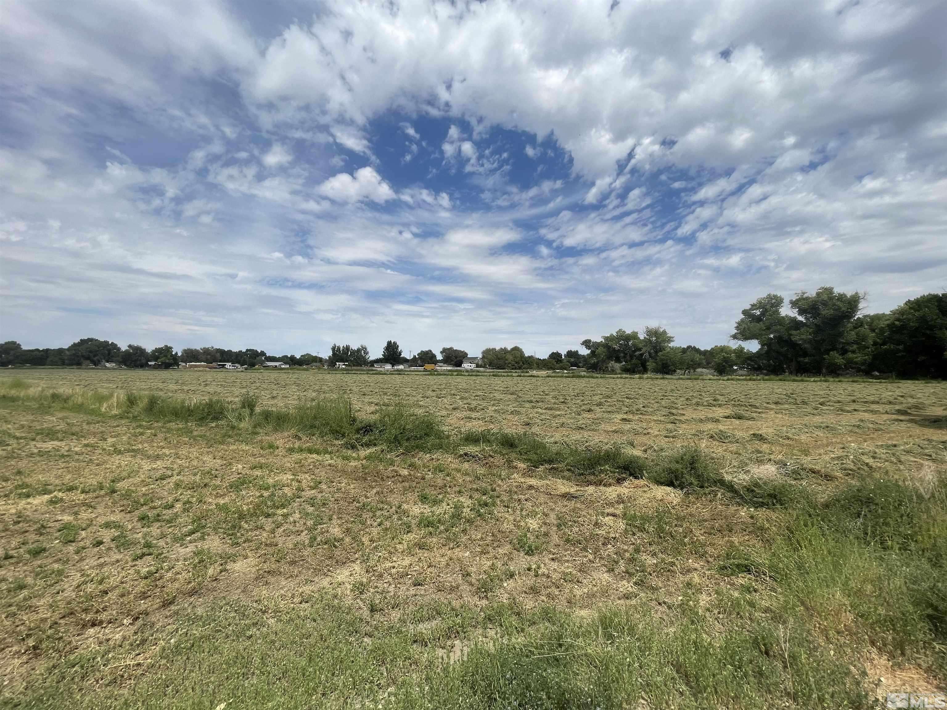 Fallon, NV 89406,000 McLean