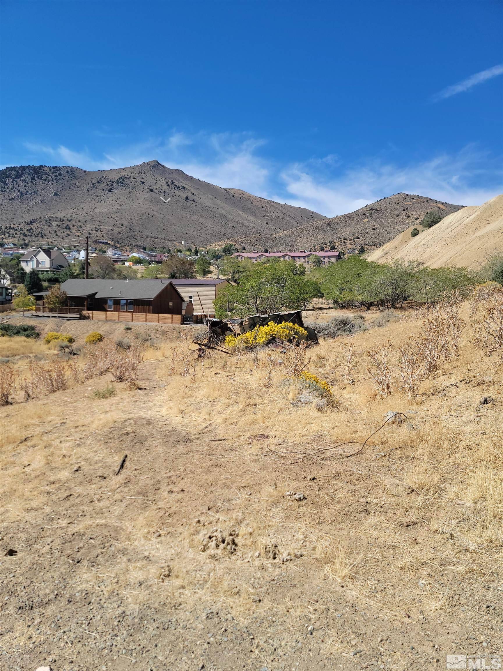 Virginia City, NV 89440,215 N M #9