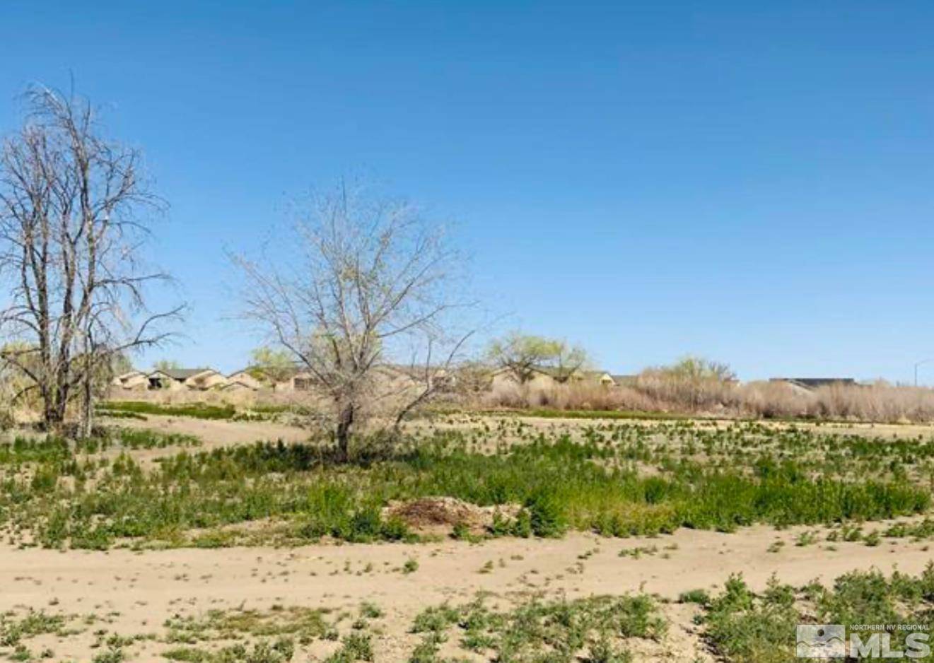 Fallon, NV 89406,Maine St 10.68 acres