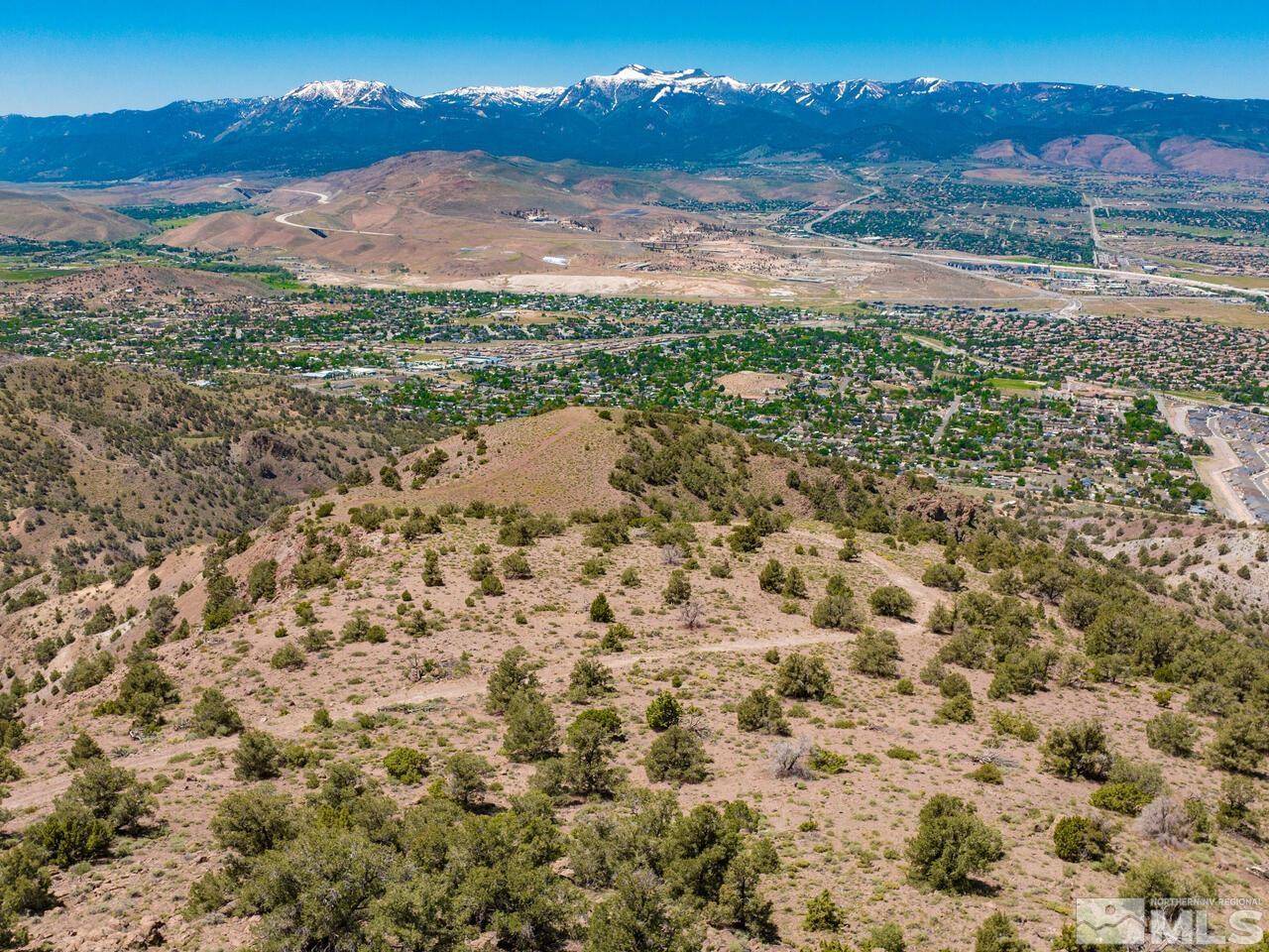 Reno, NV 89521,00 Geiger Grade APN 01675119