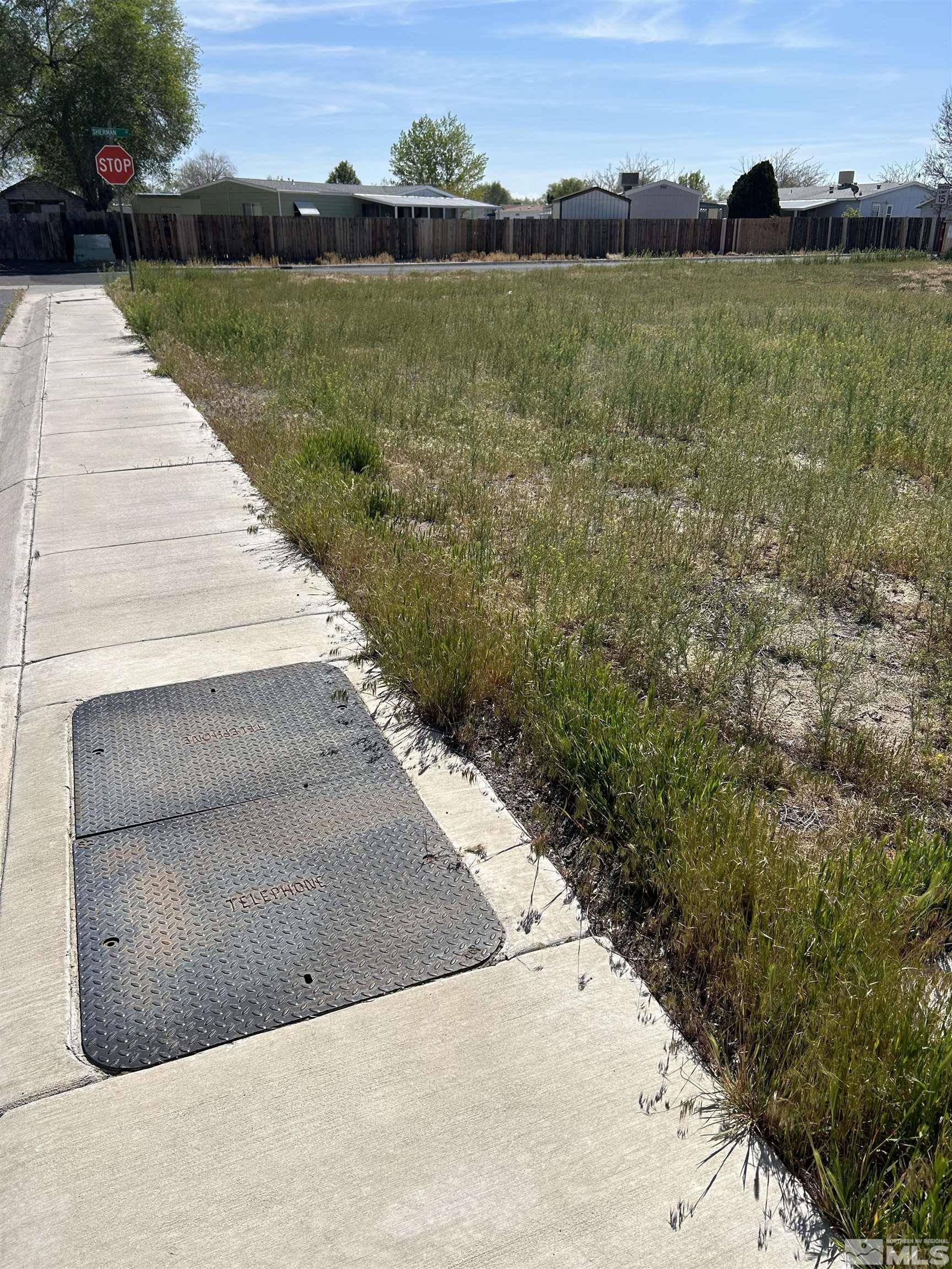 Fallon, NV 89406,670 Desert Springs Ct #4 lots