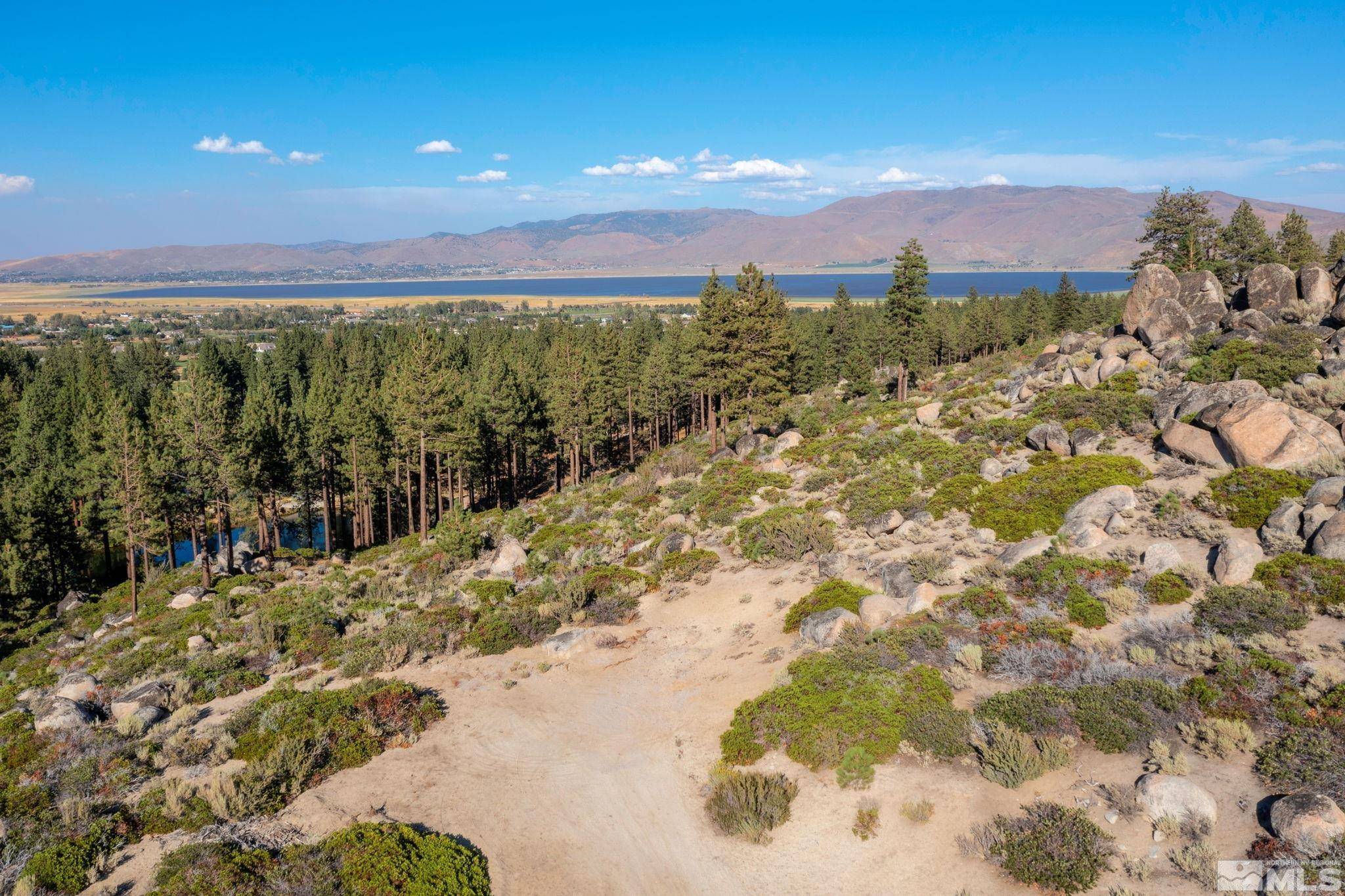 Washoe Valley, NV 89704,0 Franktown Rd