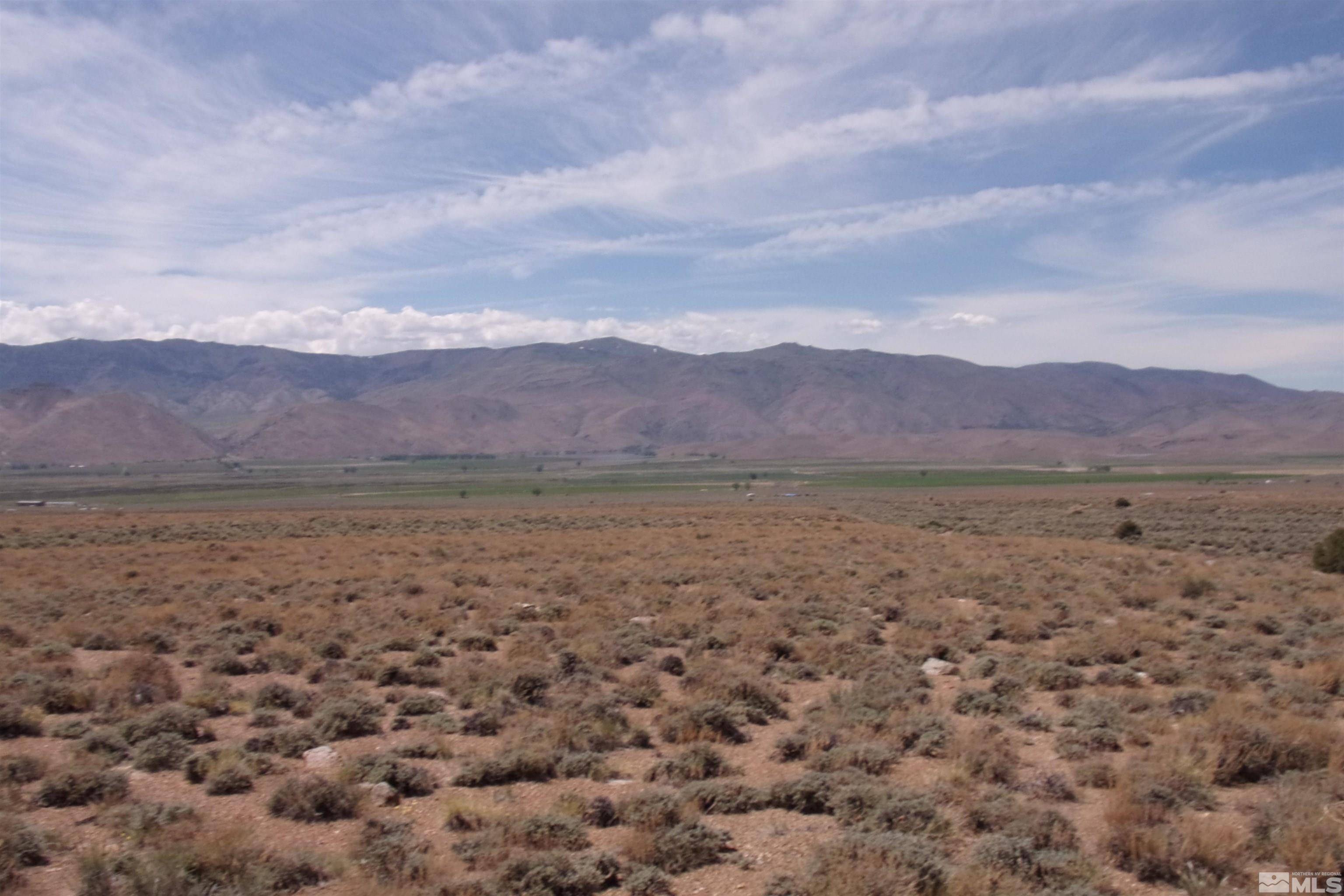 Topaz, NV 89410,4625 Risue  Canyon Rd