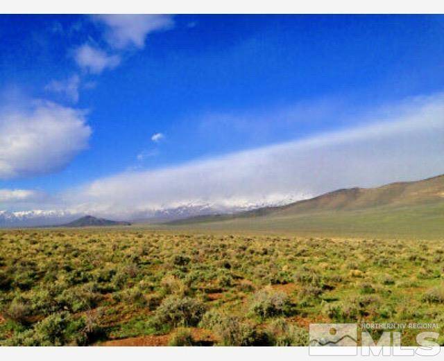 Battle Mountain, NV 89820,1001039 N Izzenhood Basin Rd