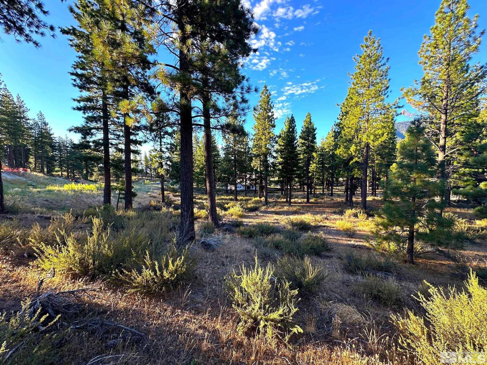 Carson City, NV 89705,3379 Golf Club Drive #125