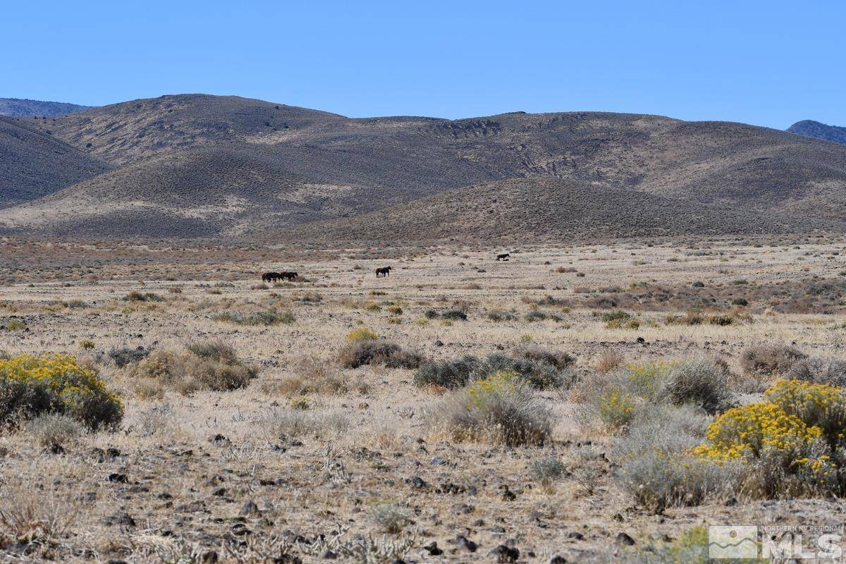 Fernley, NV 89408,06 Hwy 95A