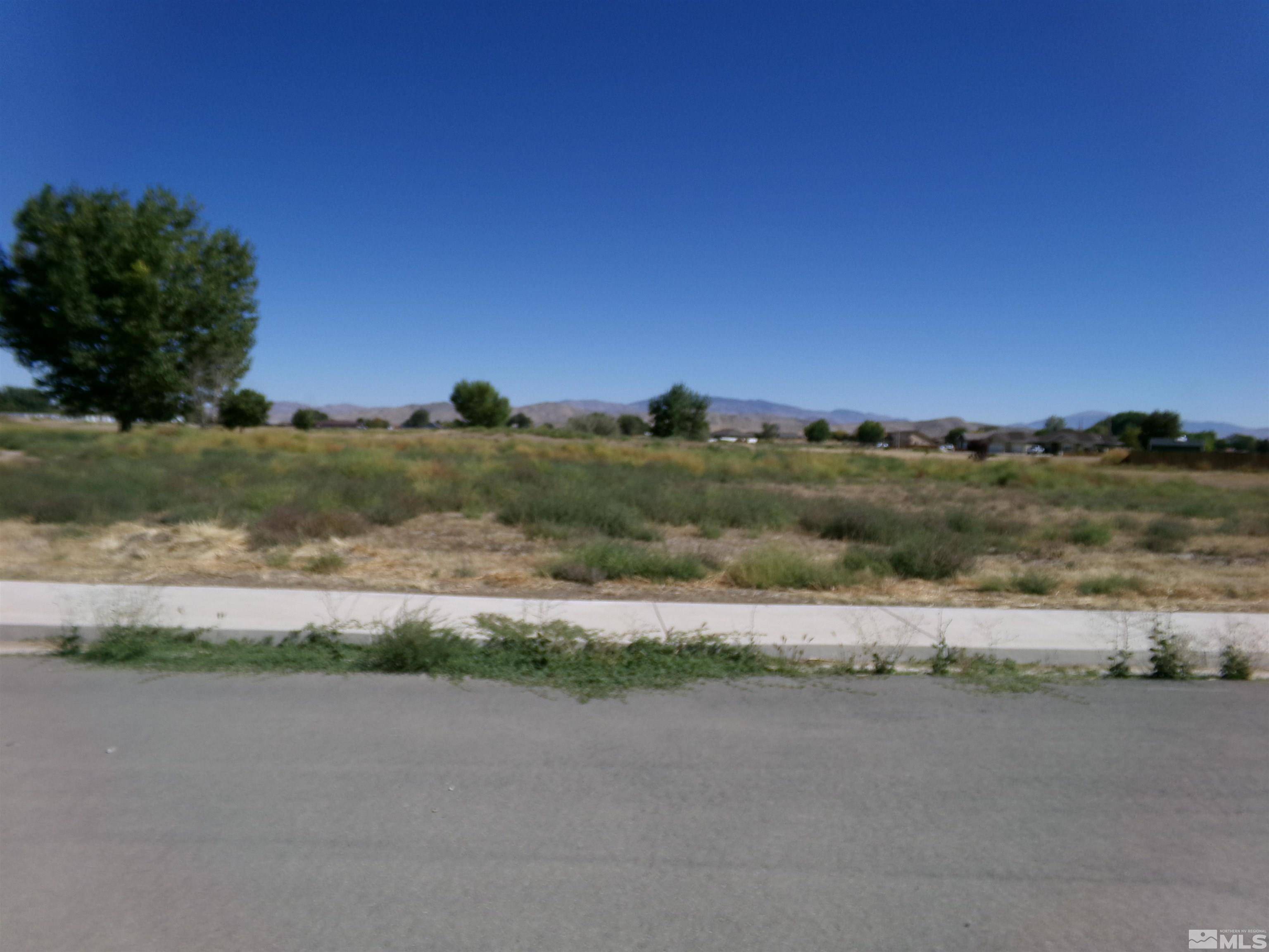 Yerington, NV 89447,423 Crooked Stick Dr