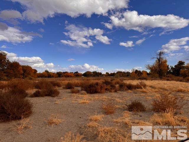 Fallon, NV 89406,785 Wetland