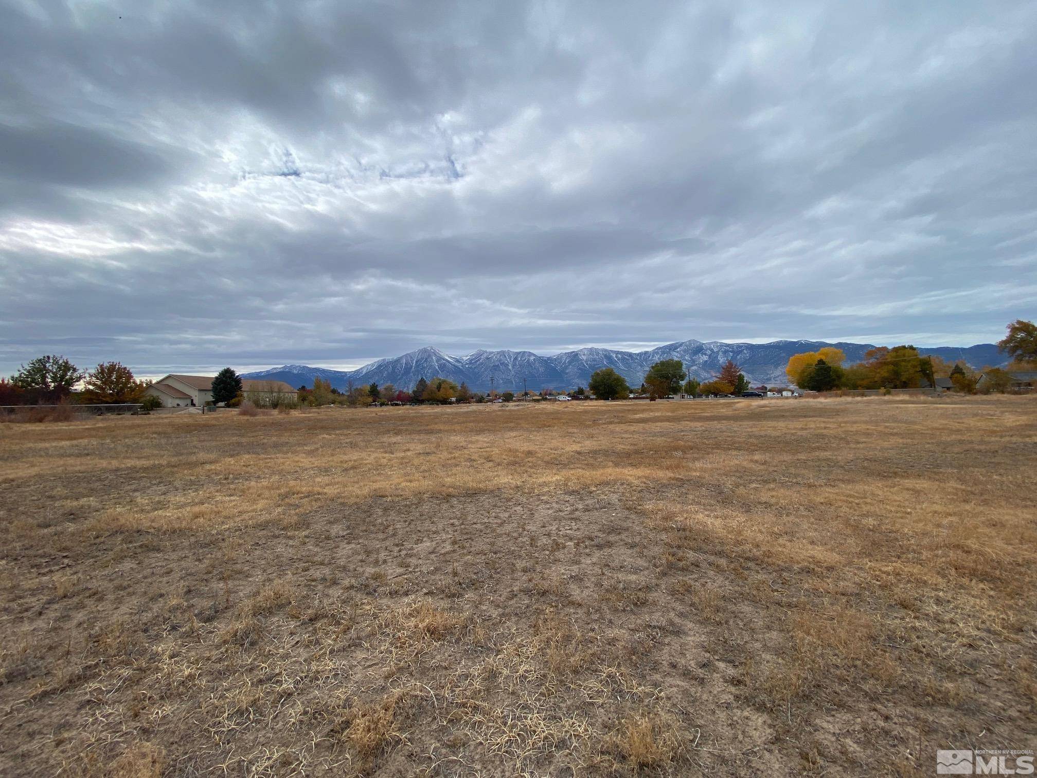 Gardnerville, NV 89410,1391 Centerville Ln