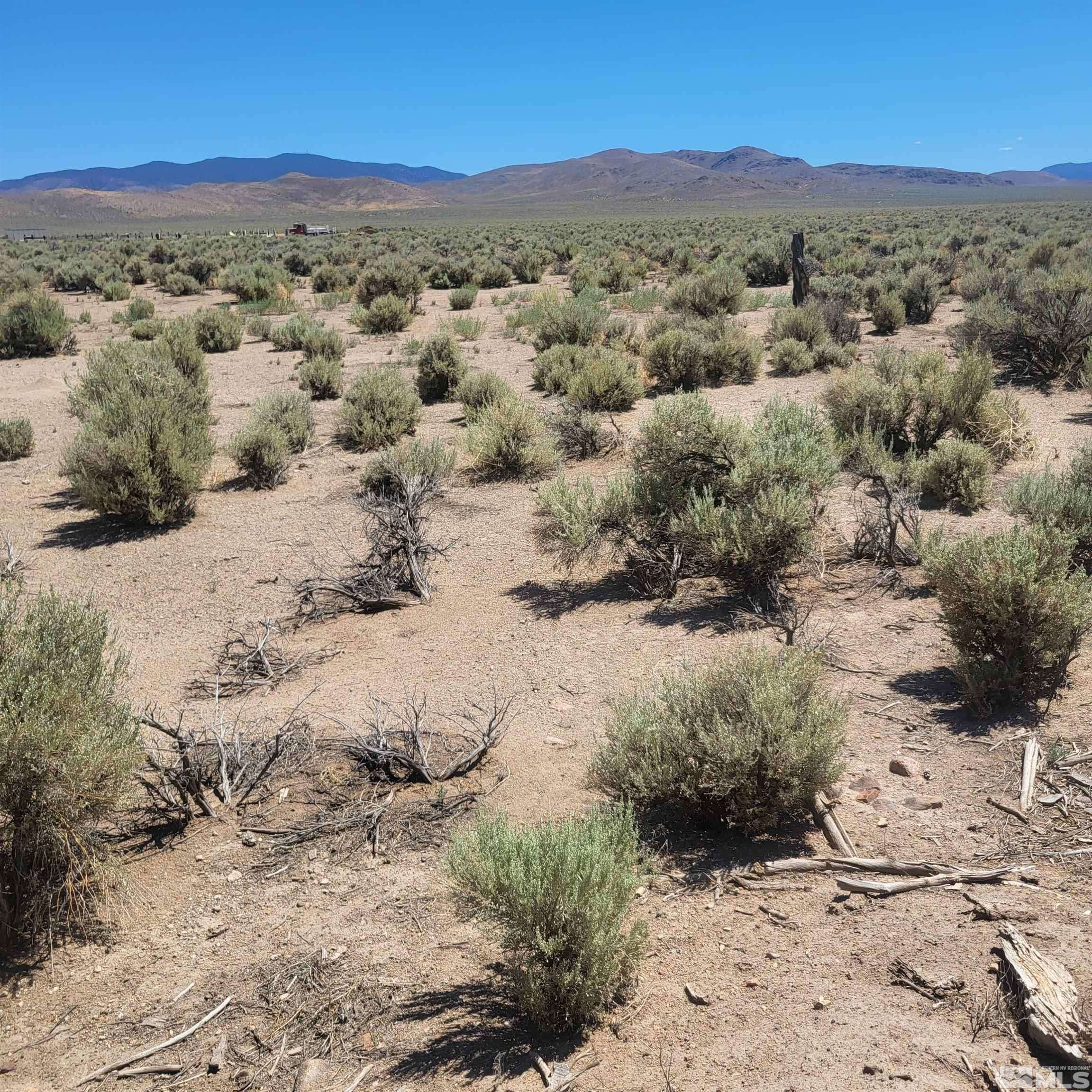 Wellington, NV 89444,TBD Grant View