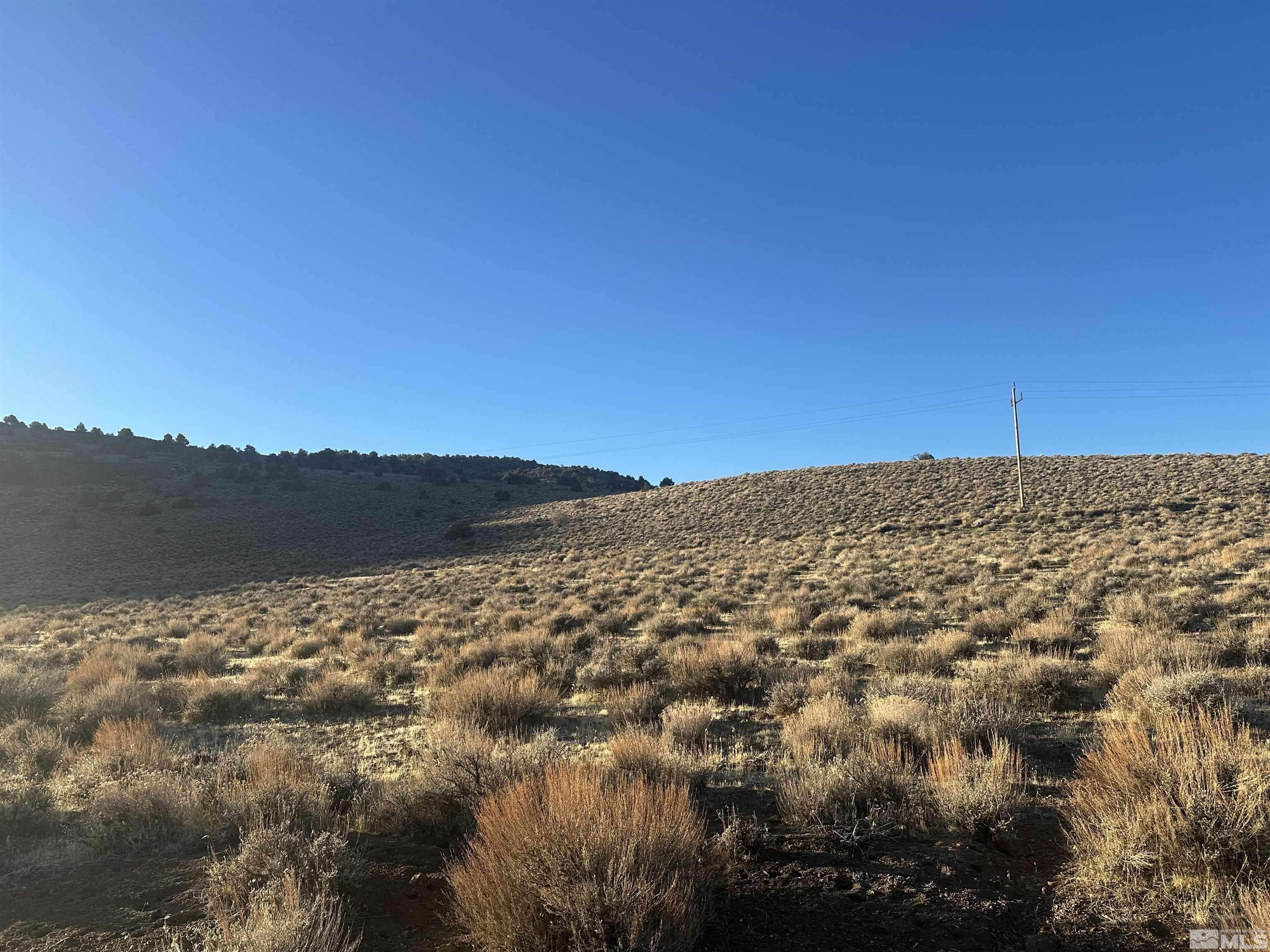 Dayton, NV 89403,125 River Vista