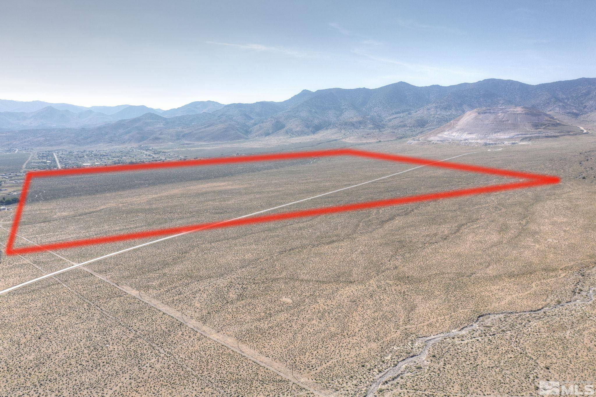 Dayton, NV 89403,0 Pinenut