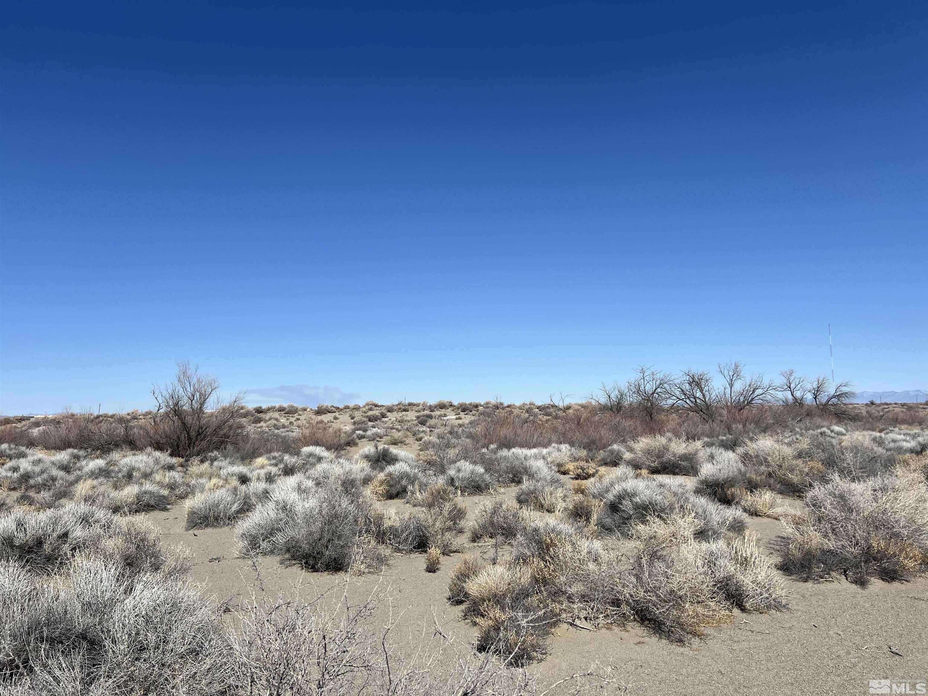 Fallon, NV 89406,00805203 APN