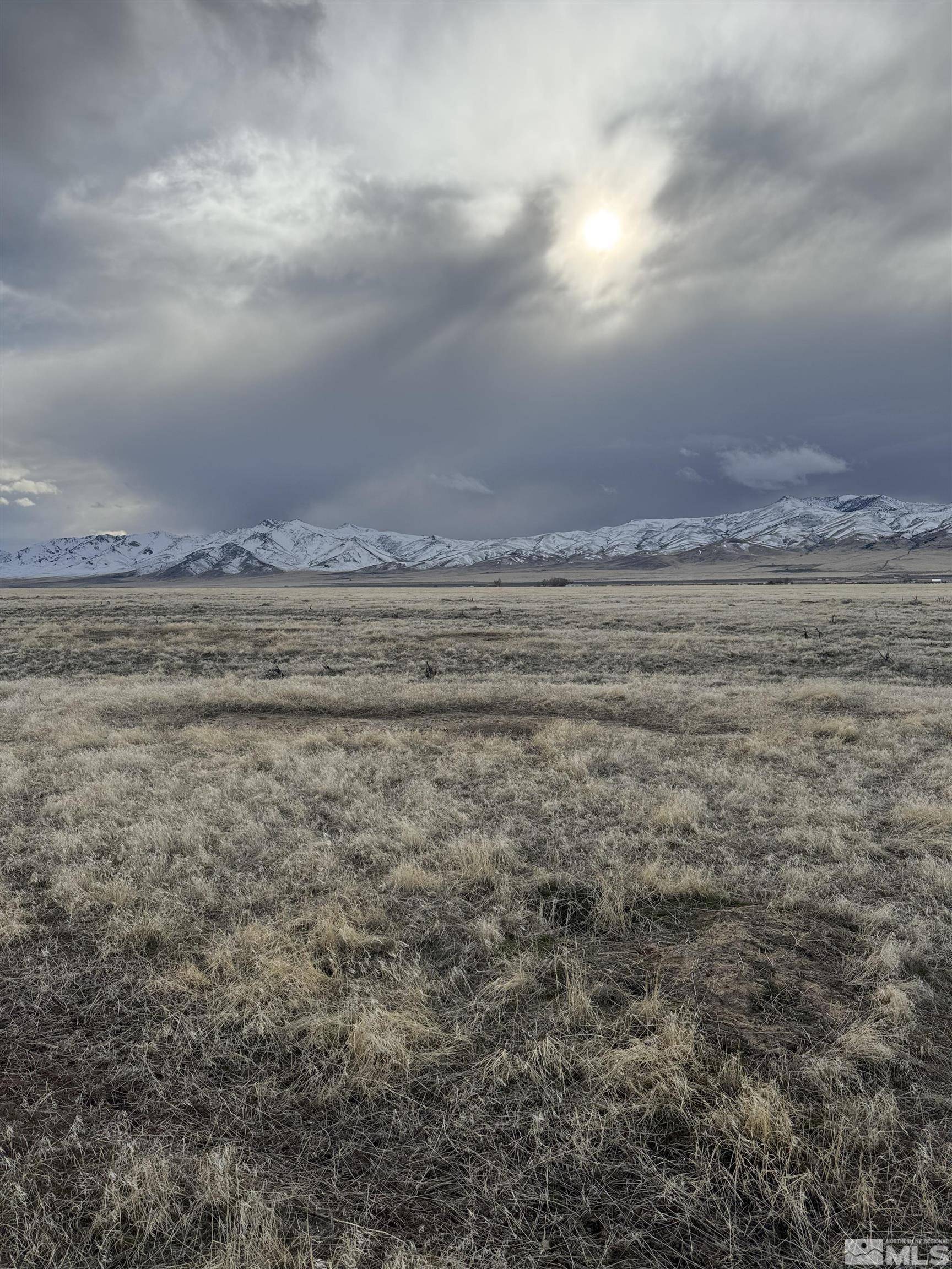 Winnemucca, NV 89445,0 Ruiz Rd