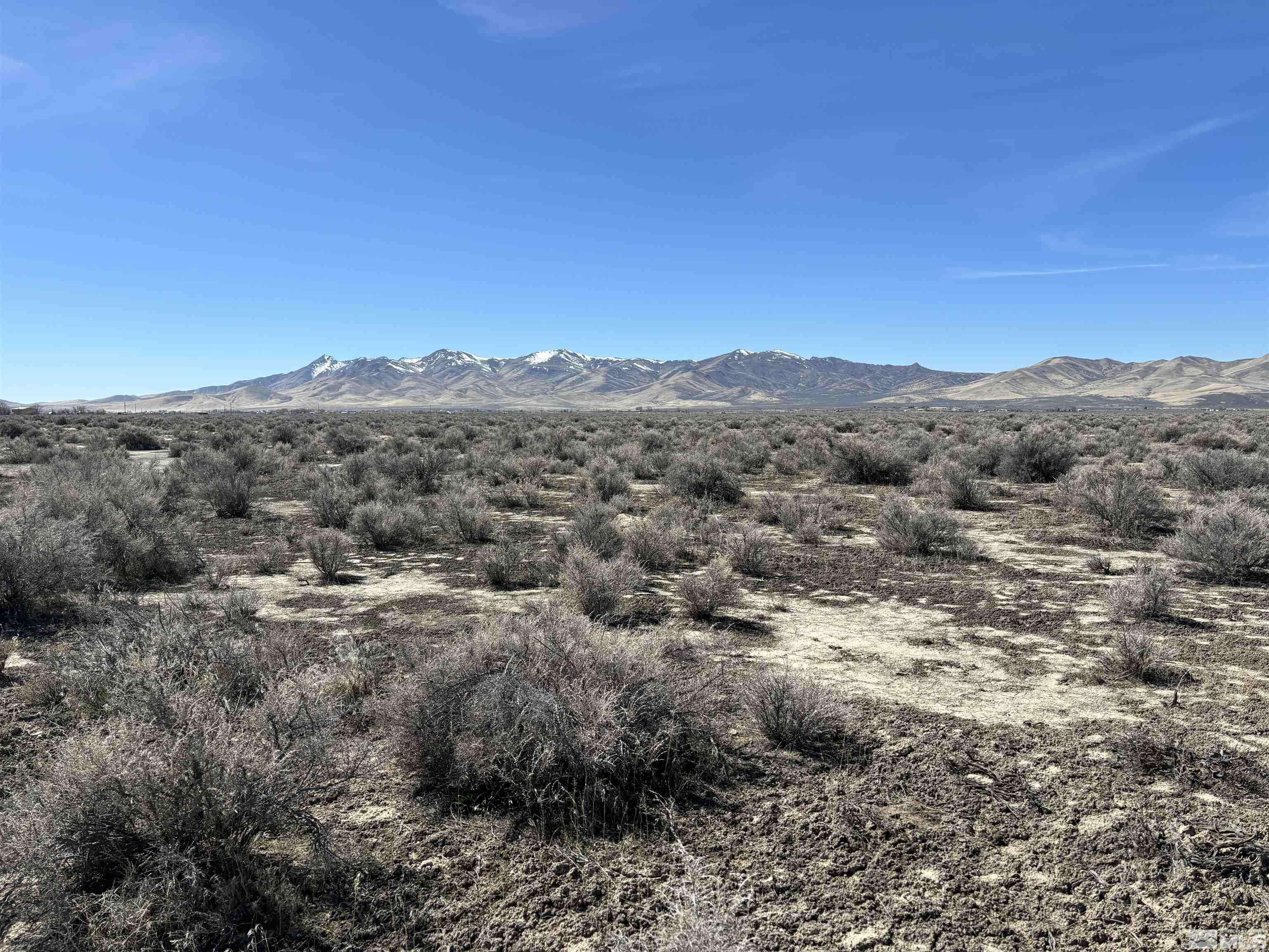 Winnemucca, NV 89445,10 acres Derringer Dr