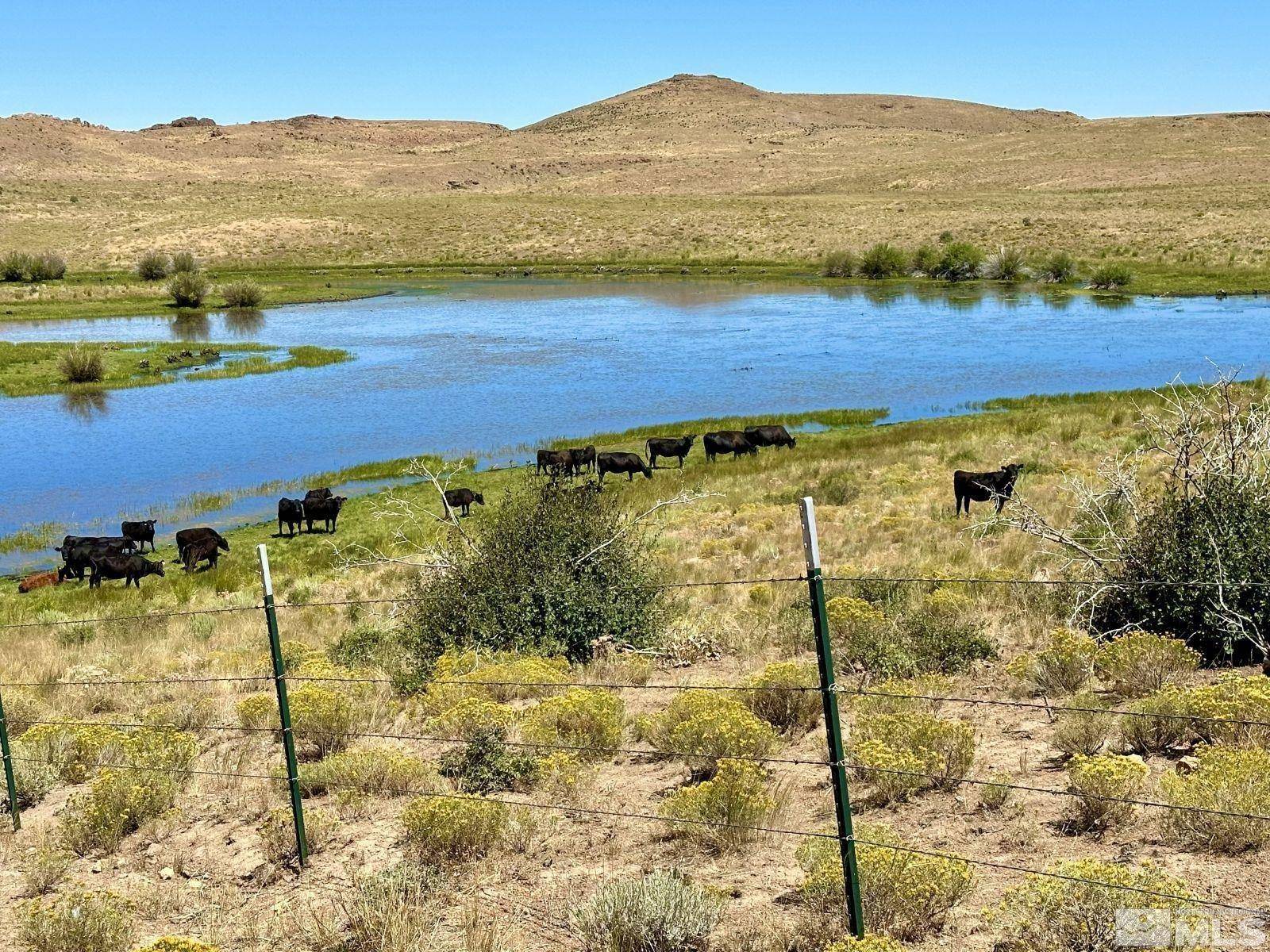 Elko, NV 89831,Wildhorse Ranch