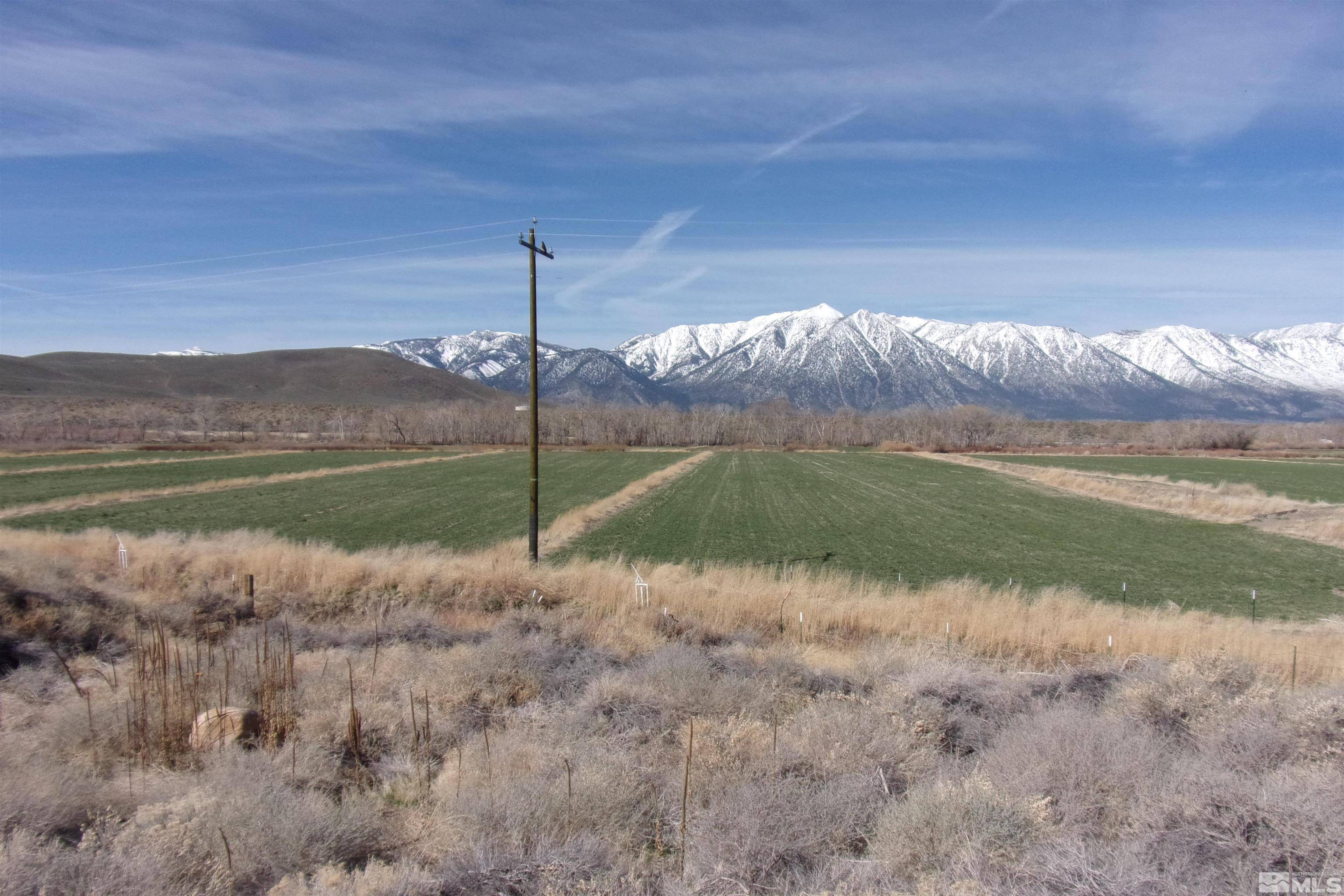 Gardnerville, NV 89410,700 N. Hwy 395