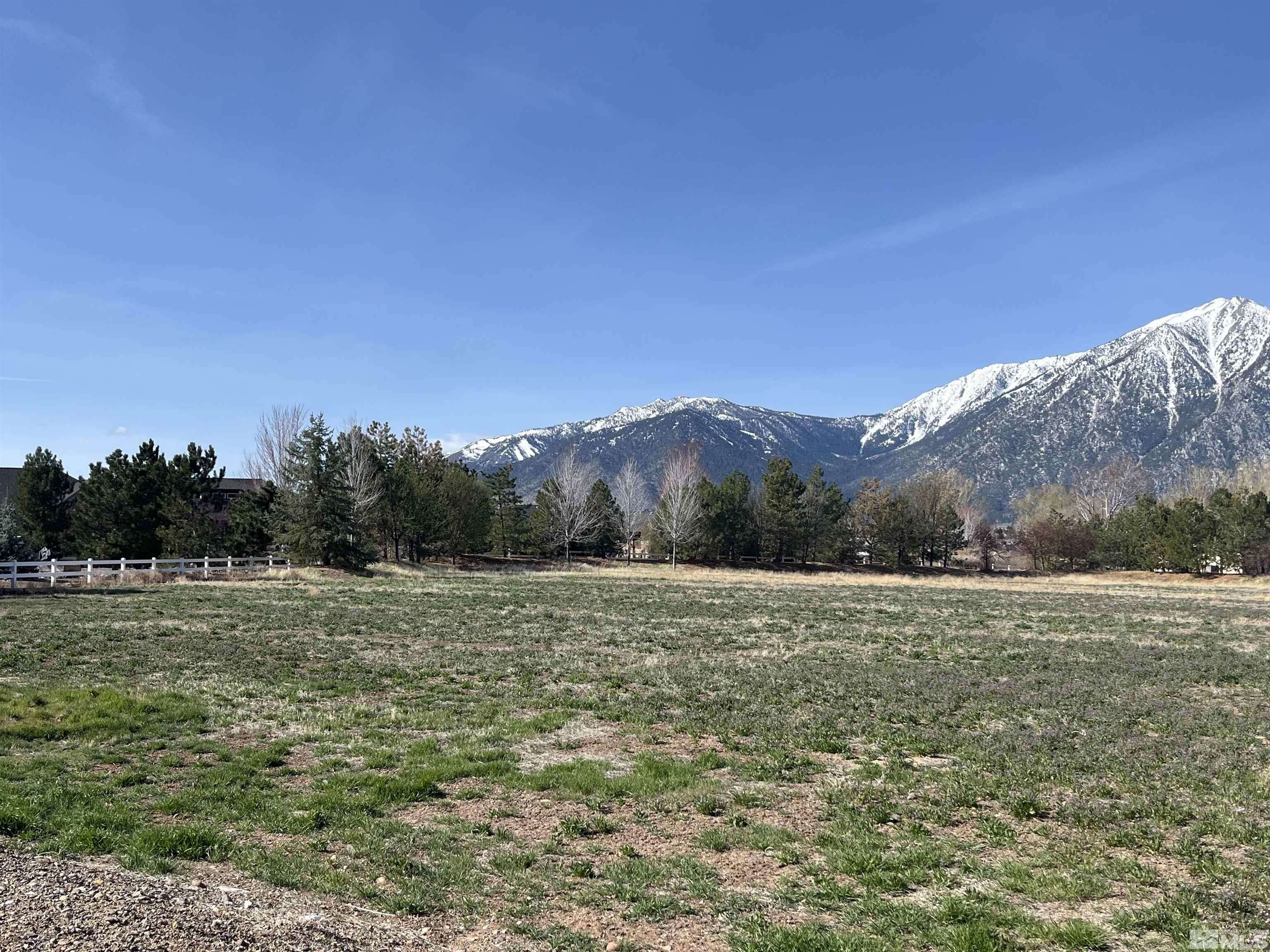 Gardnerville, NV 89460,950 Heavenly View Court