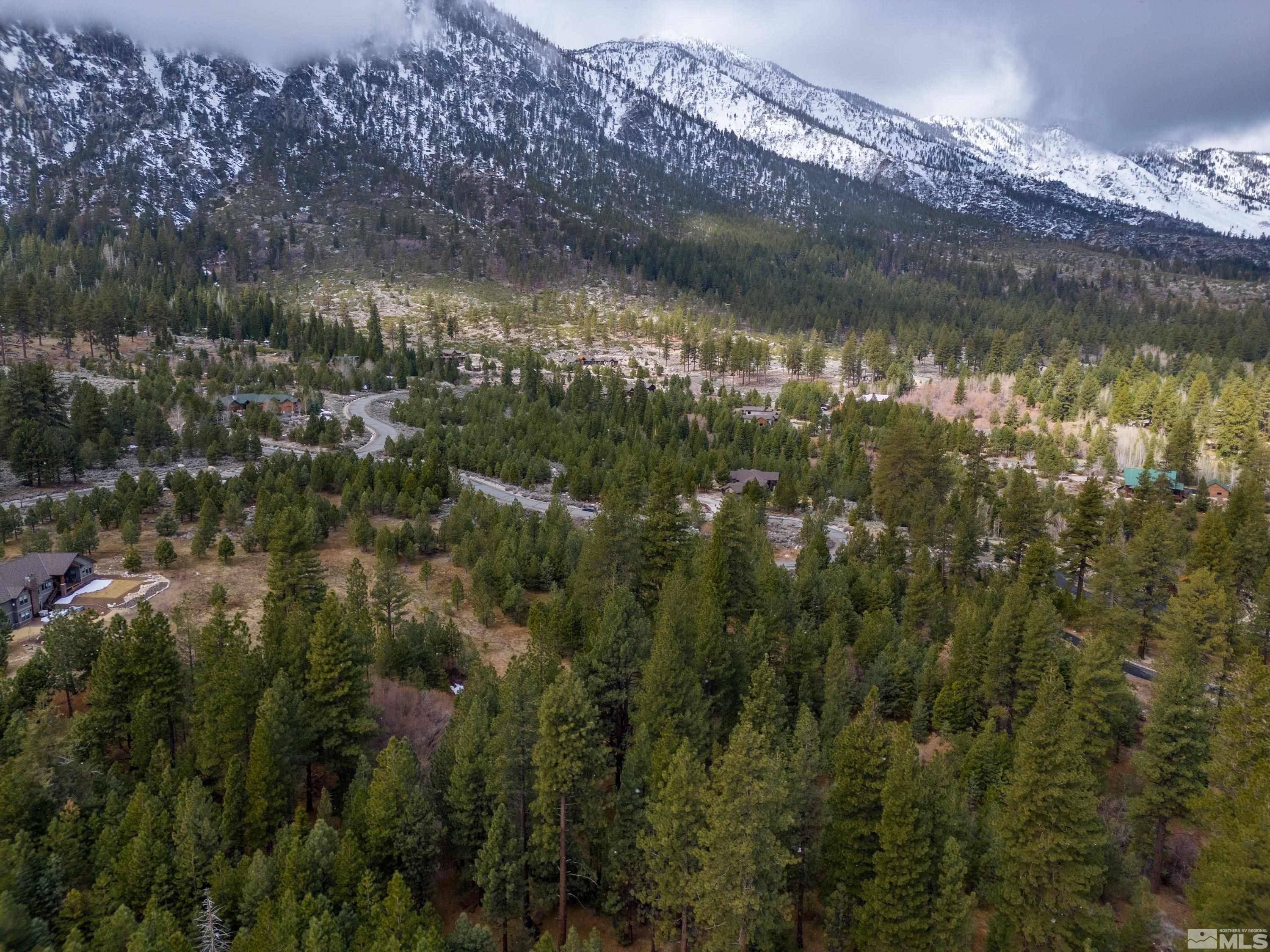 Gardnerville, NV 89460,235 Jobs Canyon Court