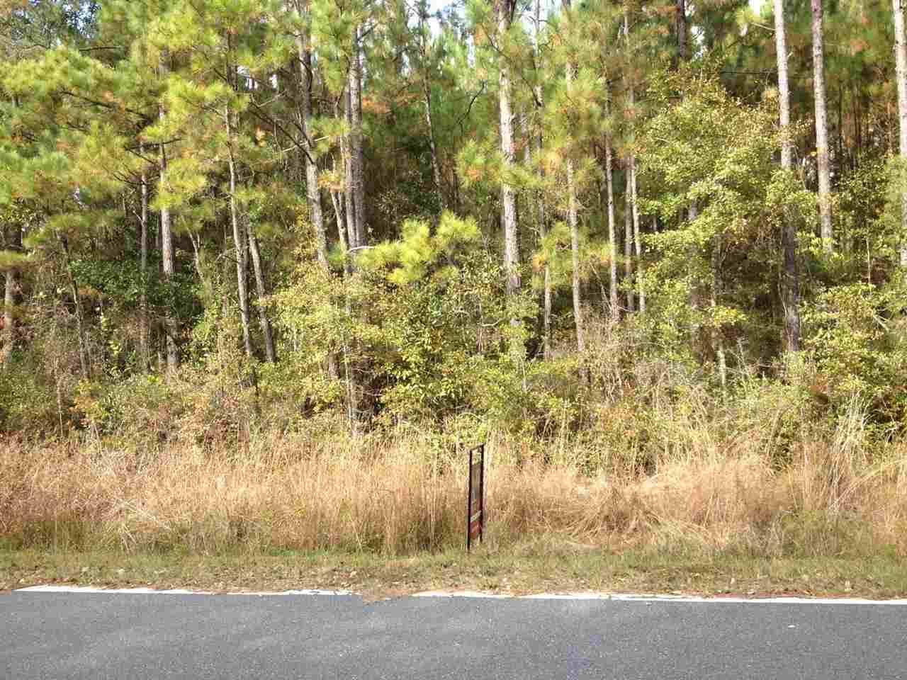 Concord, FL 32333,XXX Ochlocknee River Road #-